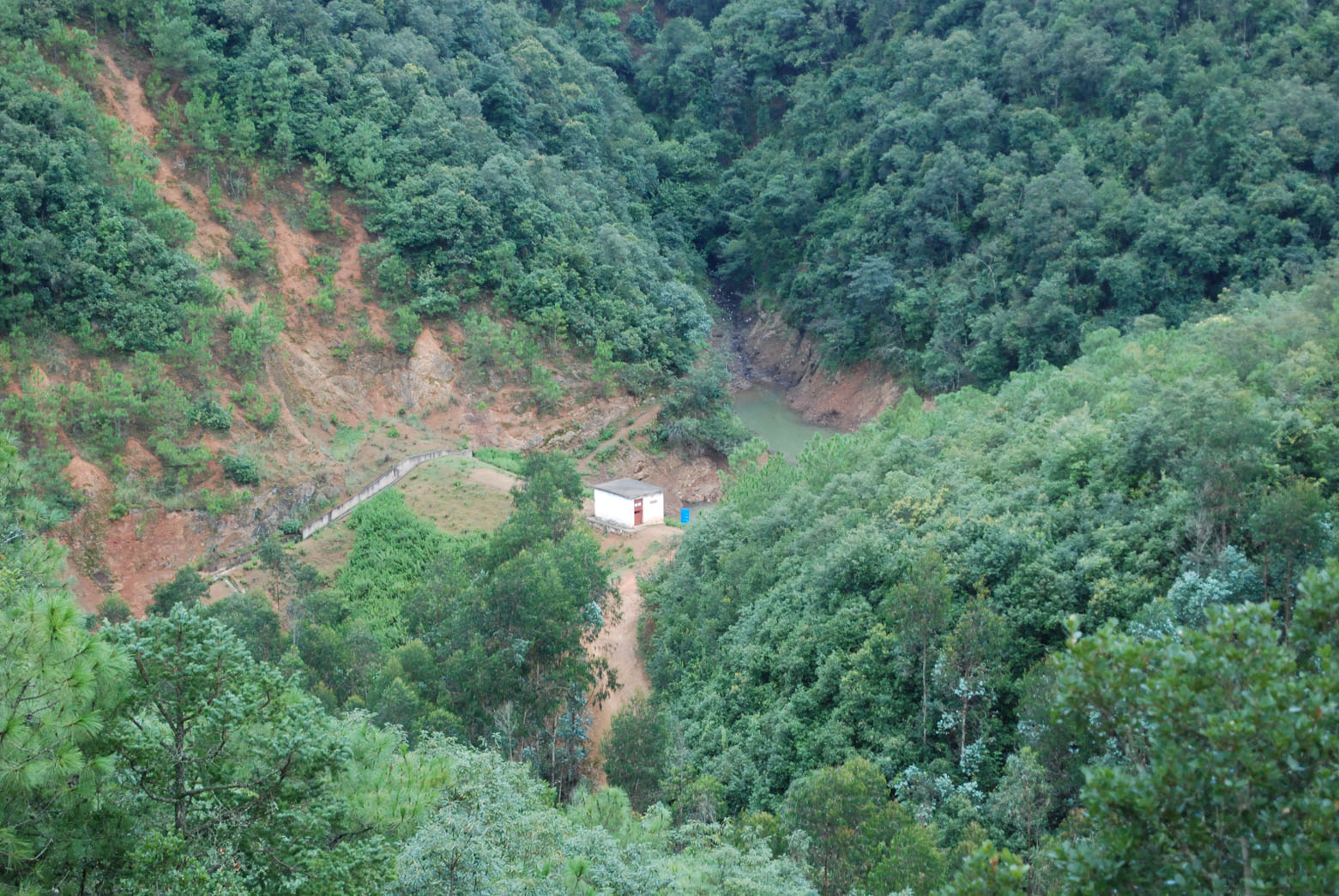 桂花树水库