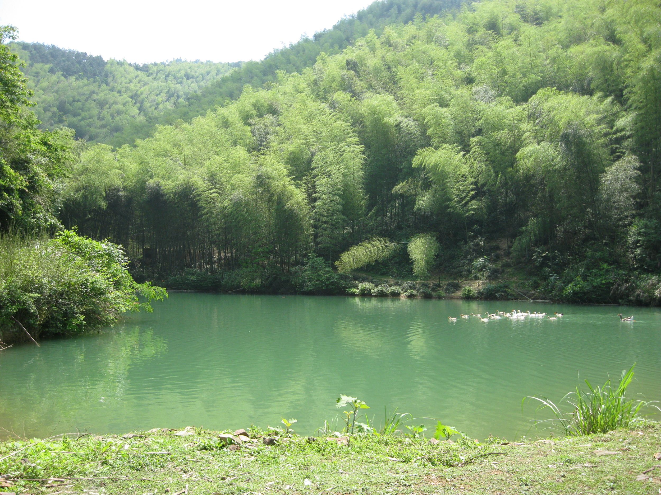 张家坞山塘水库