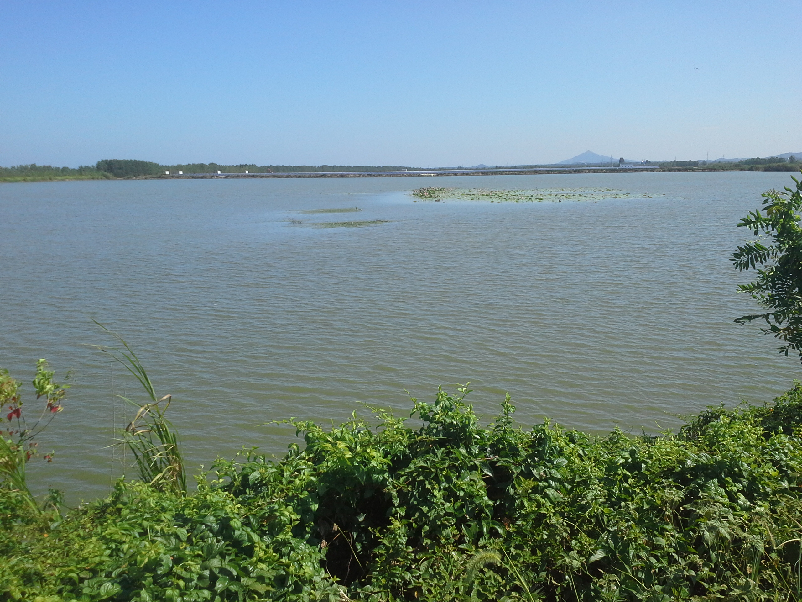 麻园湖