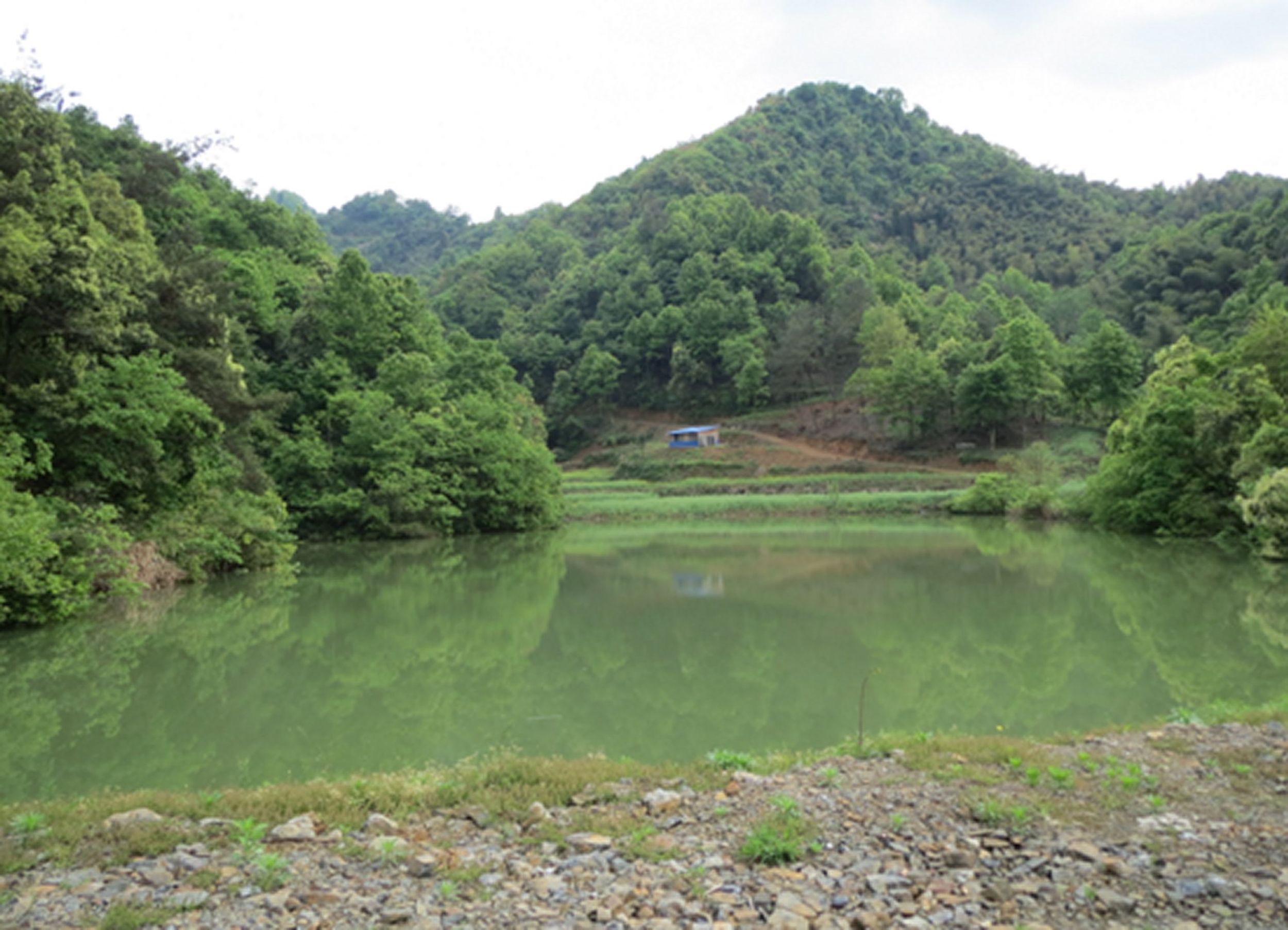 万家坞水库