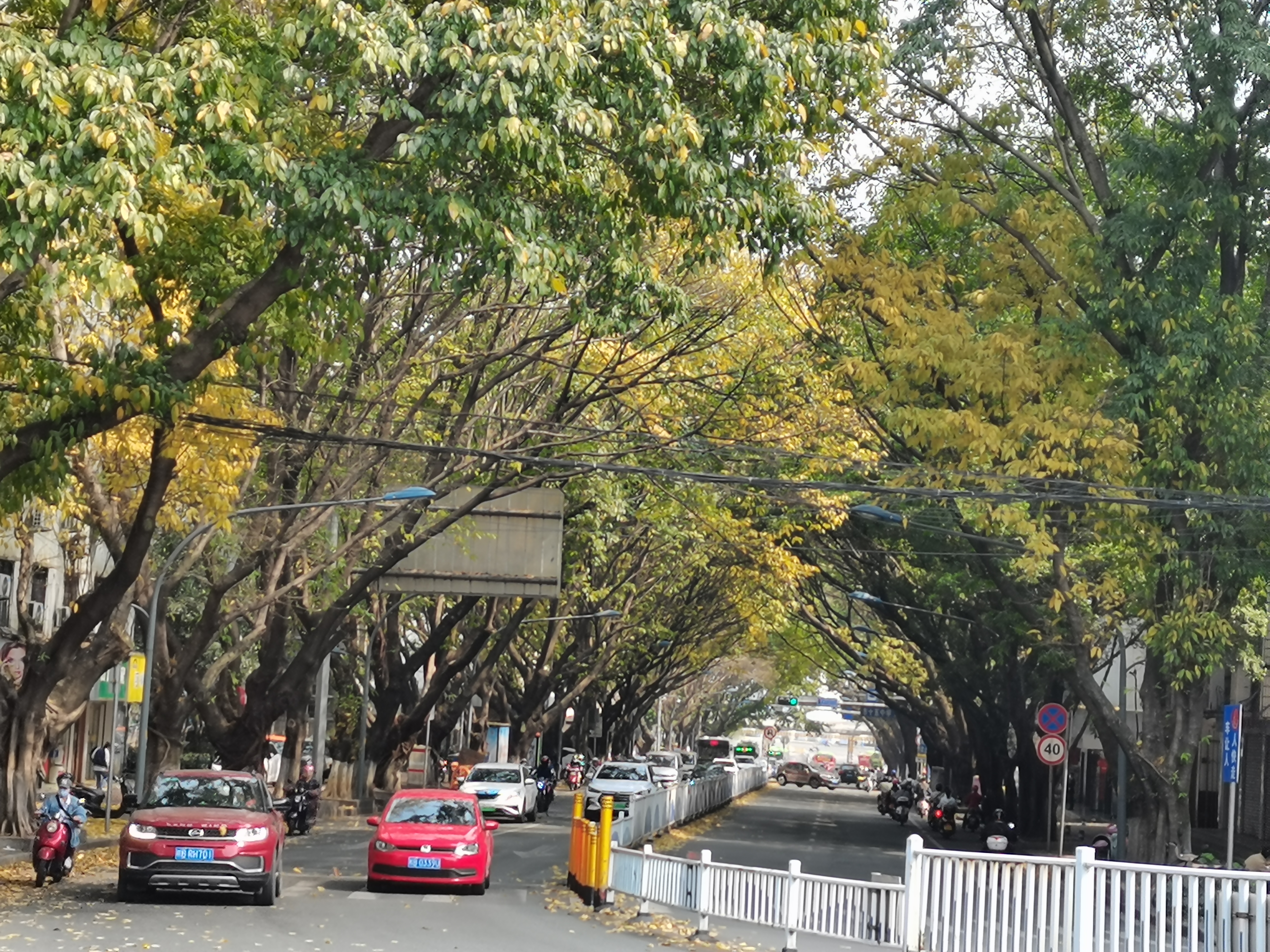 雅儒街道