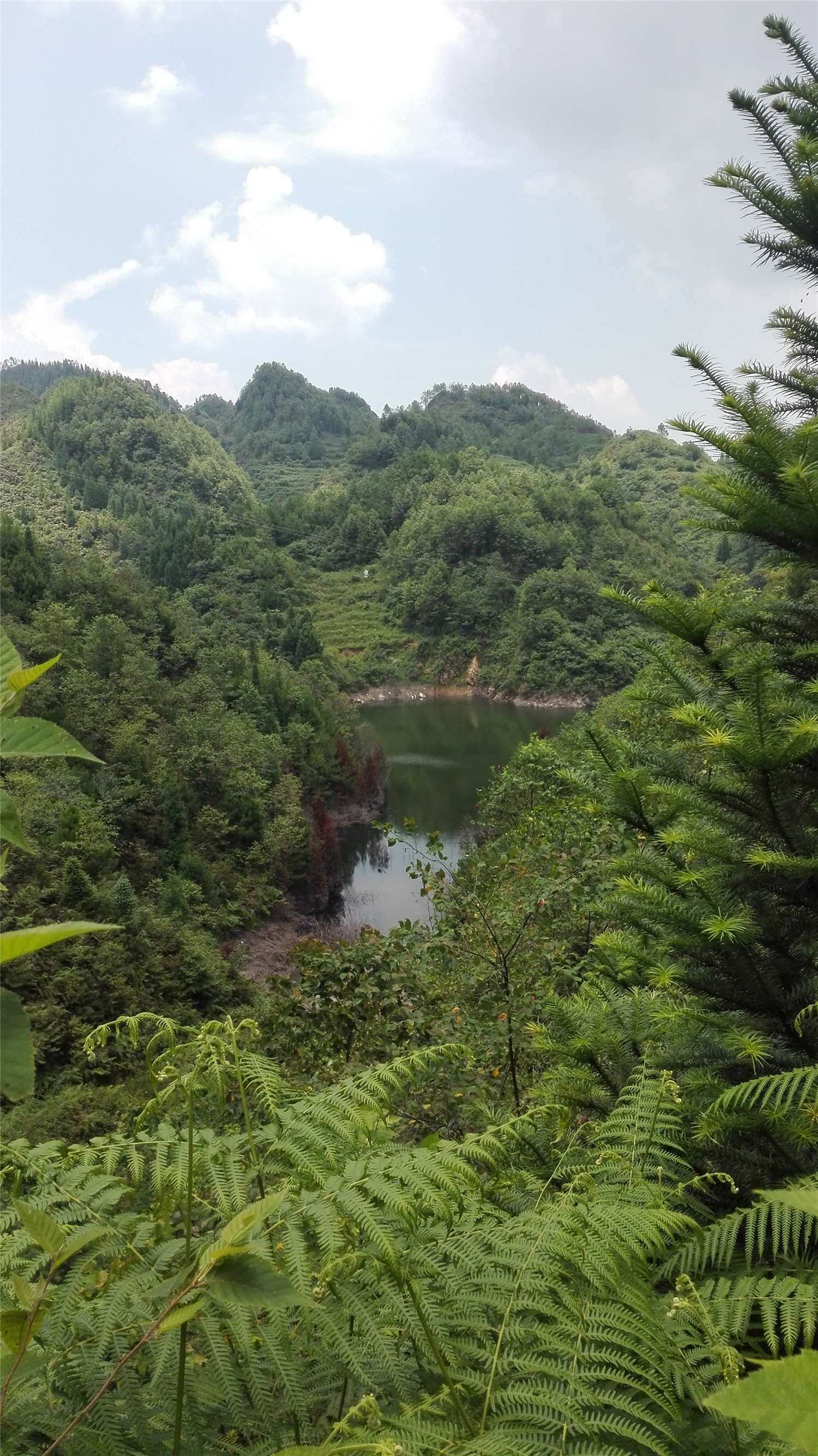 钻天坡水库