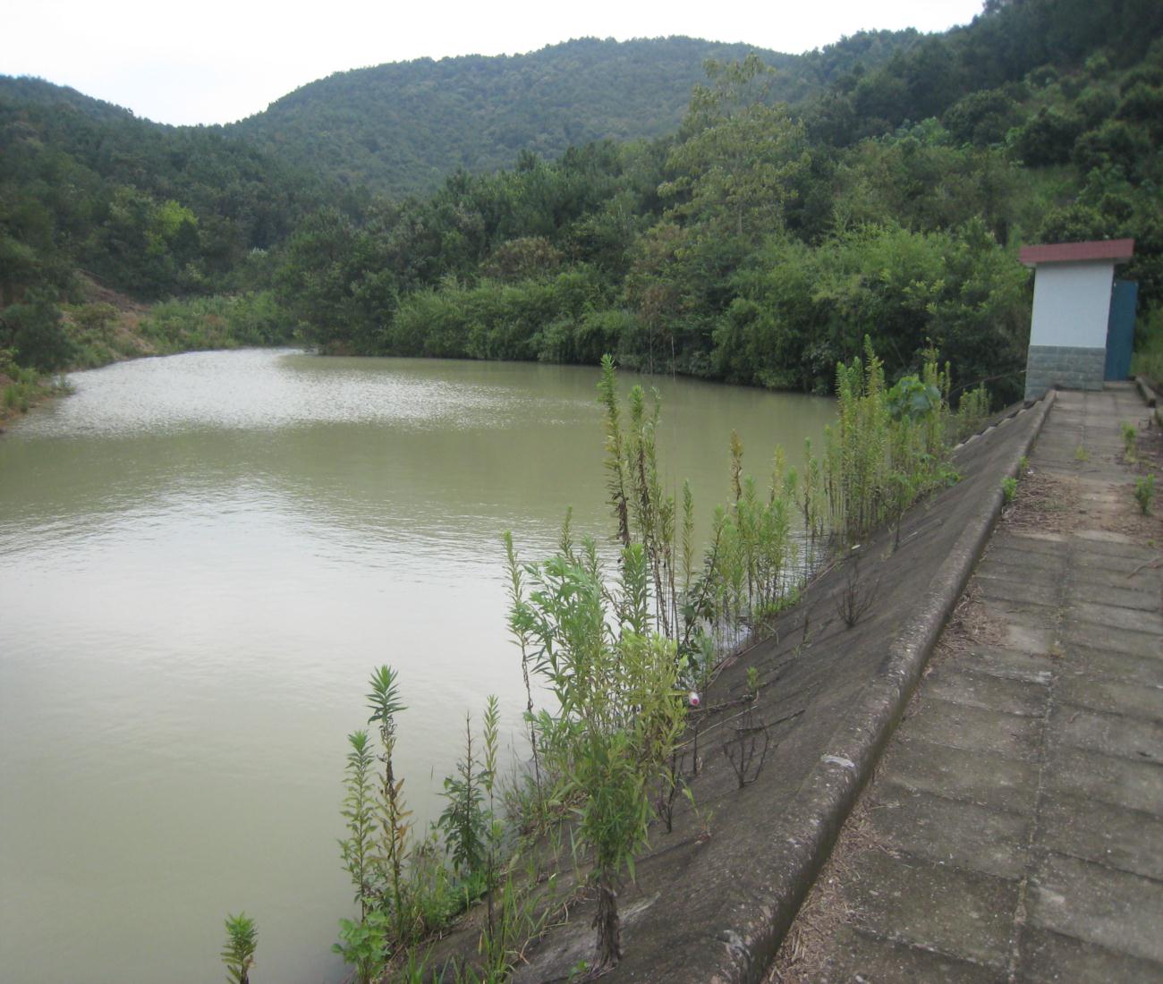 里大岙水库