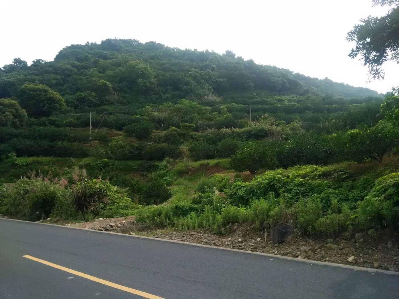 九峰山网岙景区