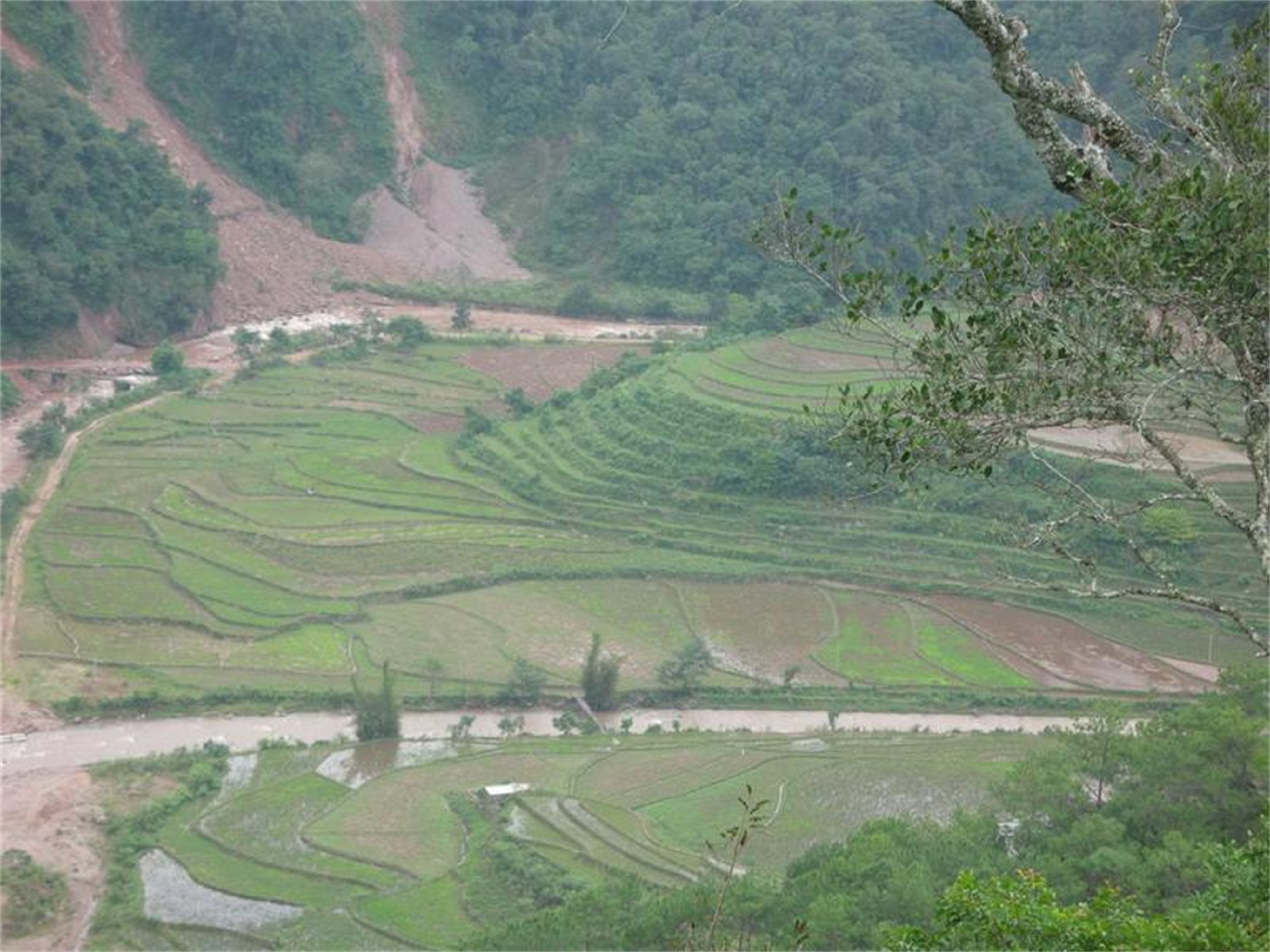 阿枧河河口