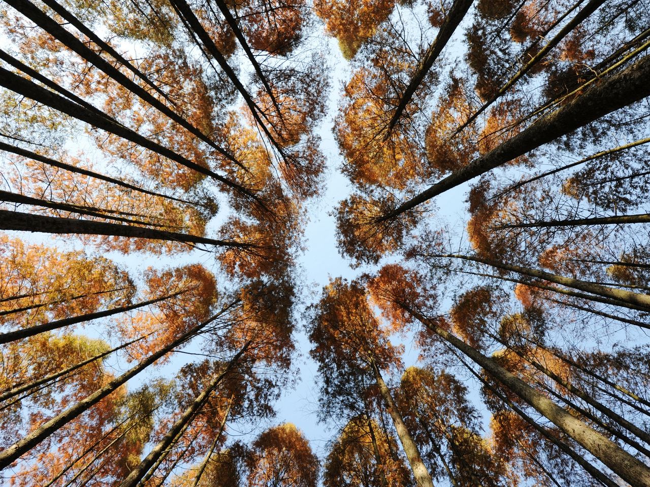 千岛湖牧心谷