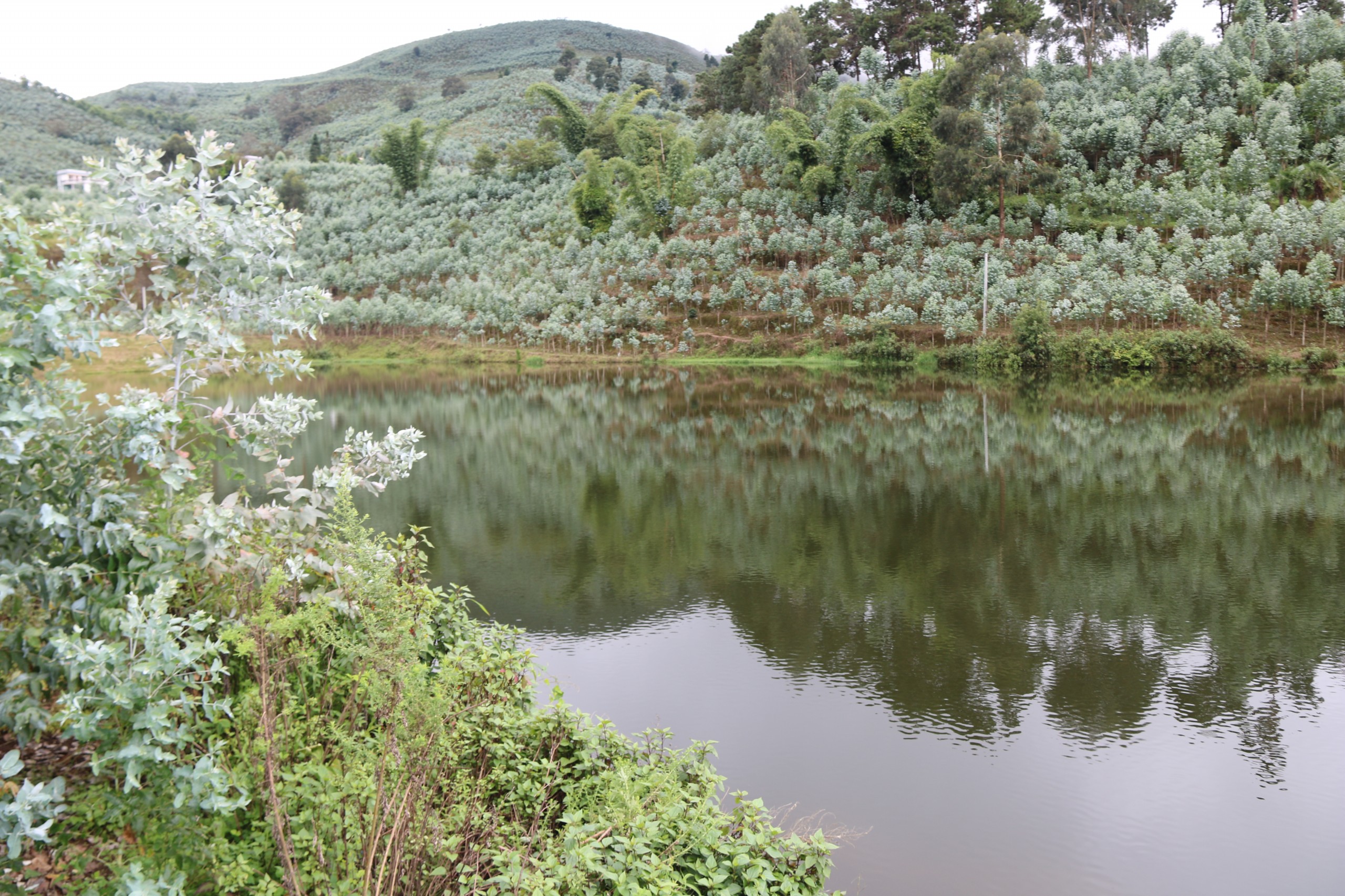 松树林水库