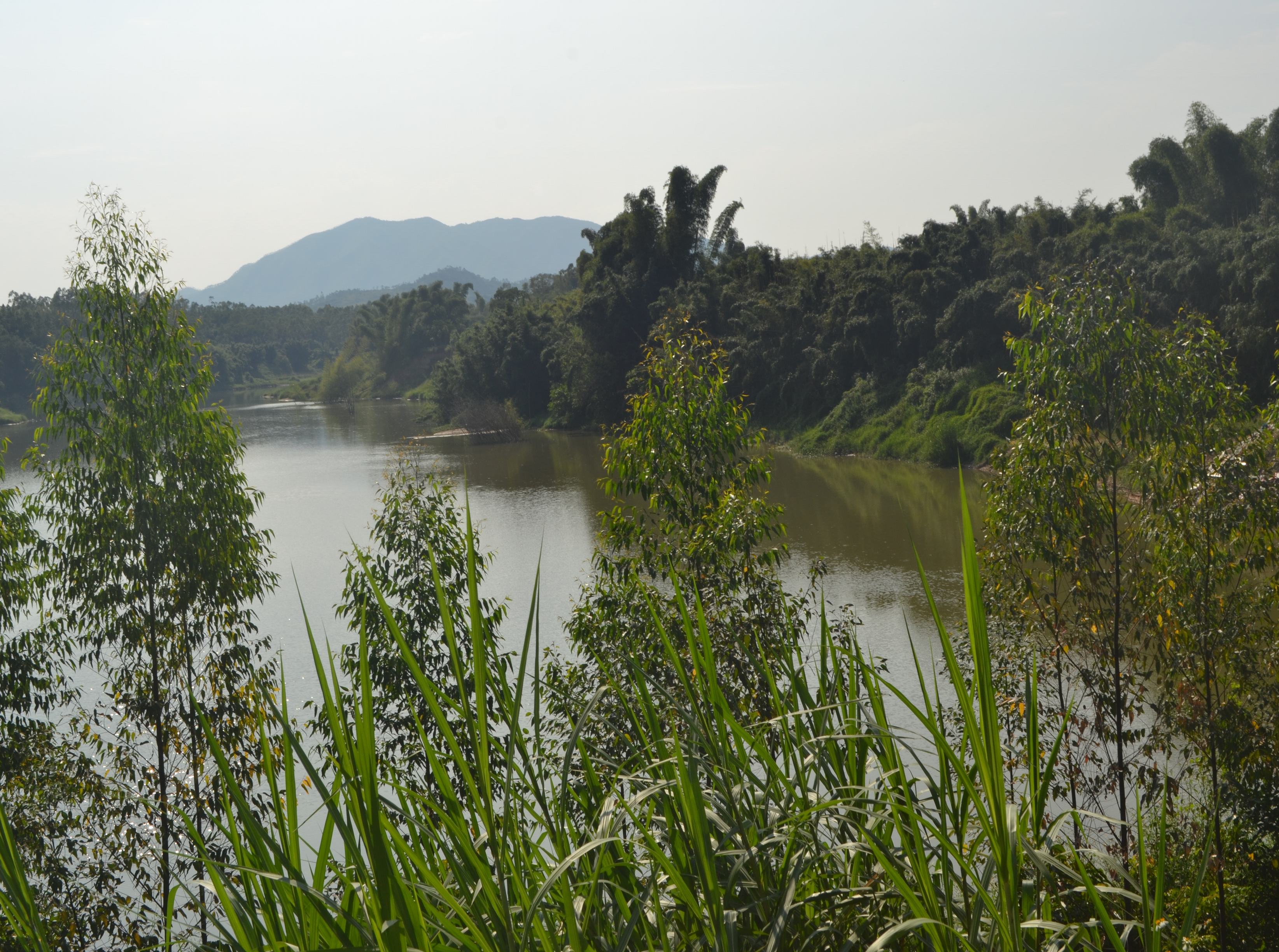 龟地水库