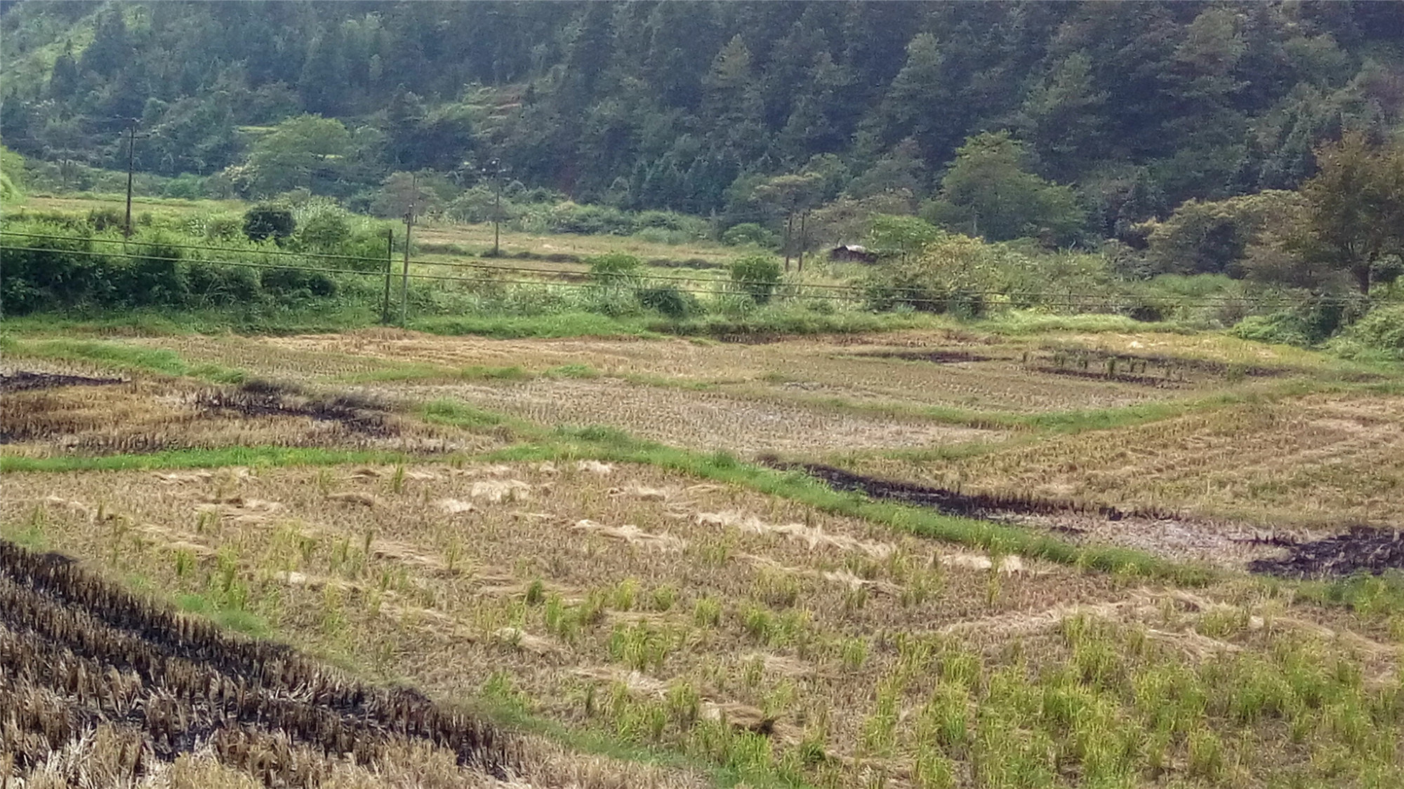 龙潭湾