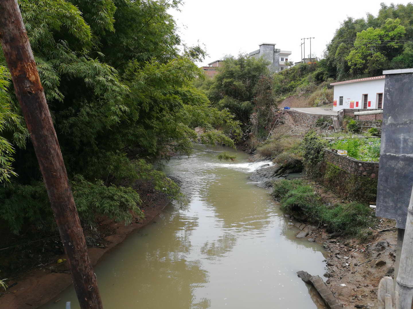 凤岭河