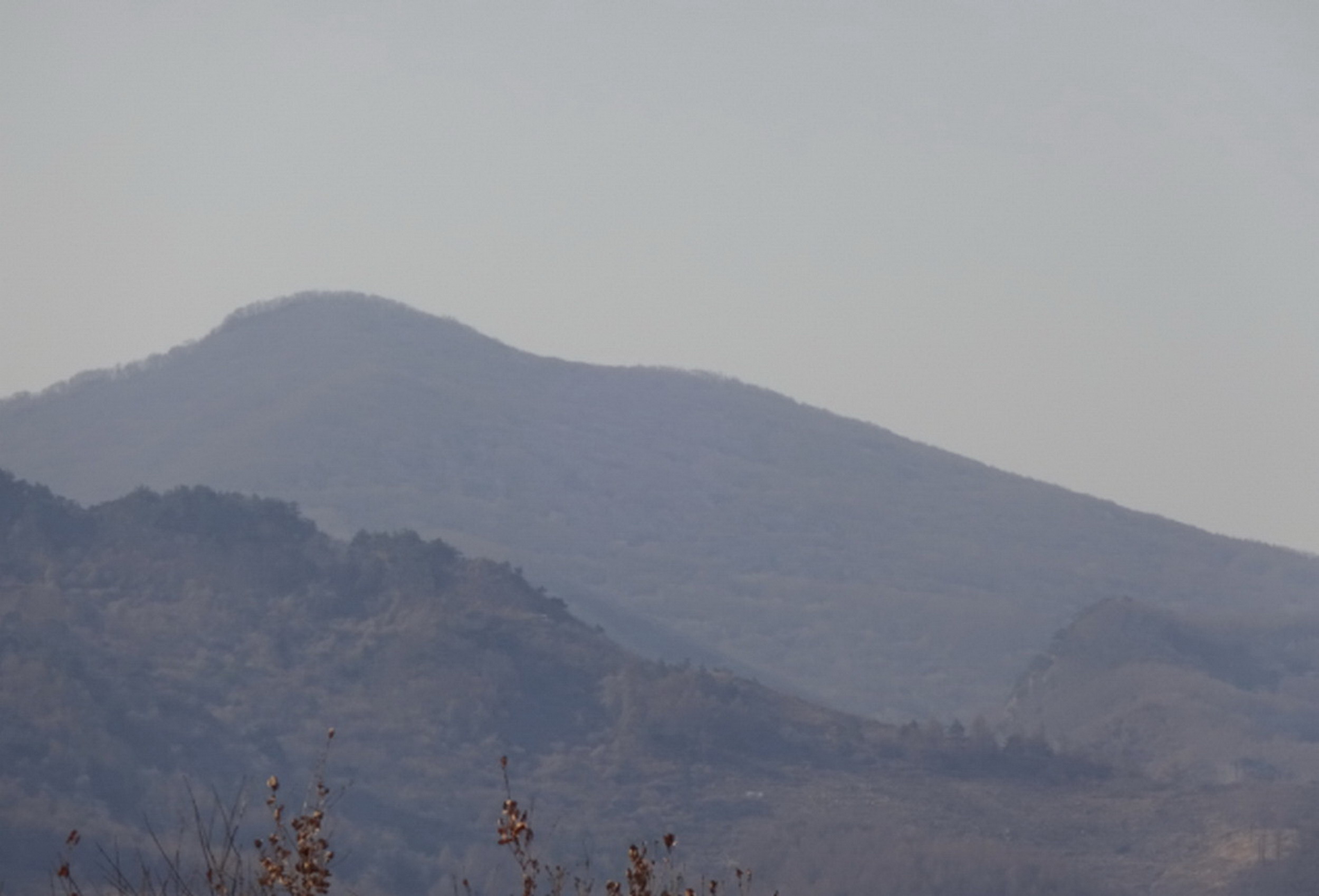 九龙川自然保护区