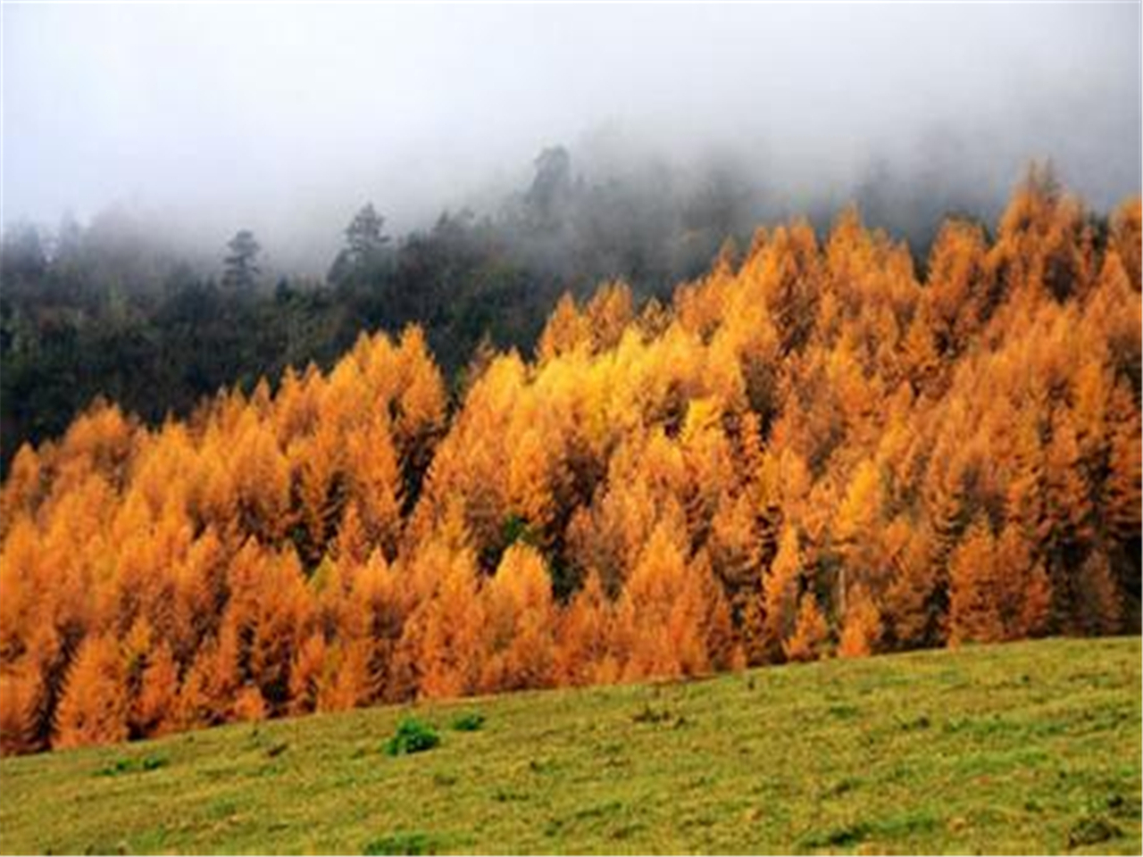 铁坪山景区