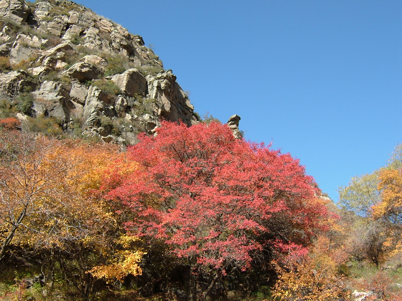 小井生态园