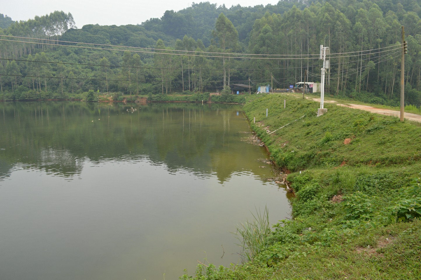 山猪冚水库