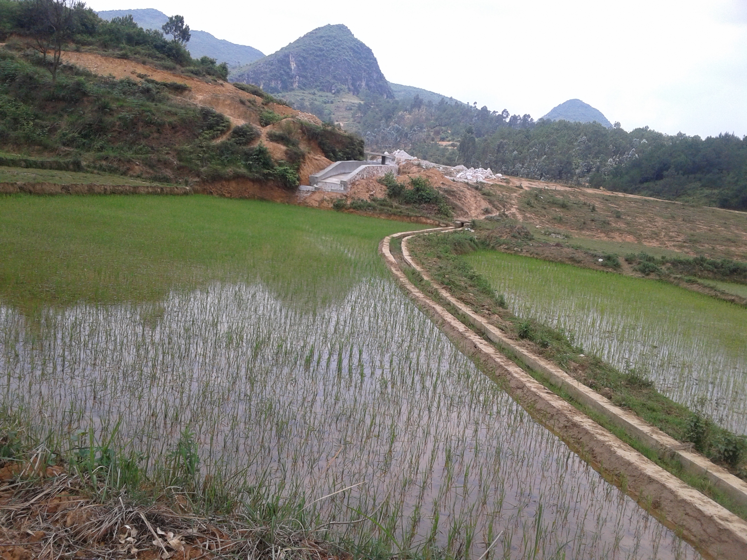 白鸡合水库