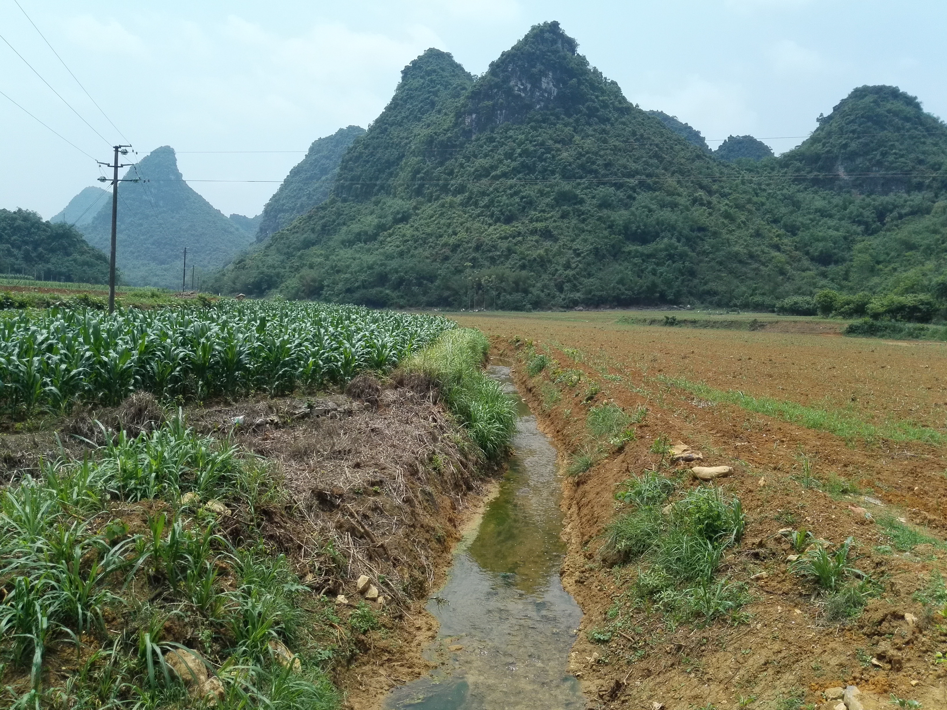 汤挪河