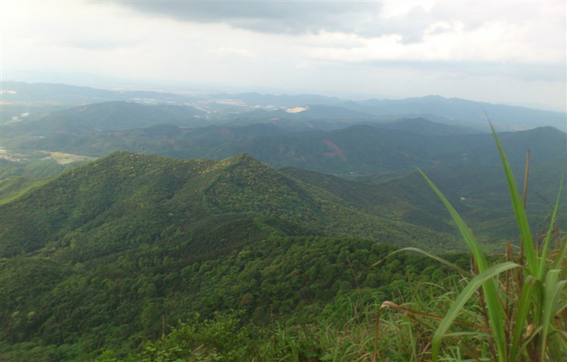 皂幕山森林公园