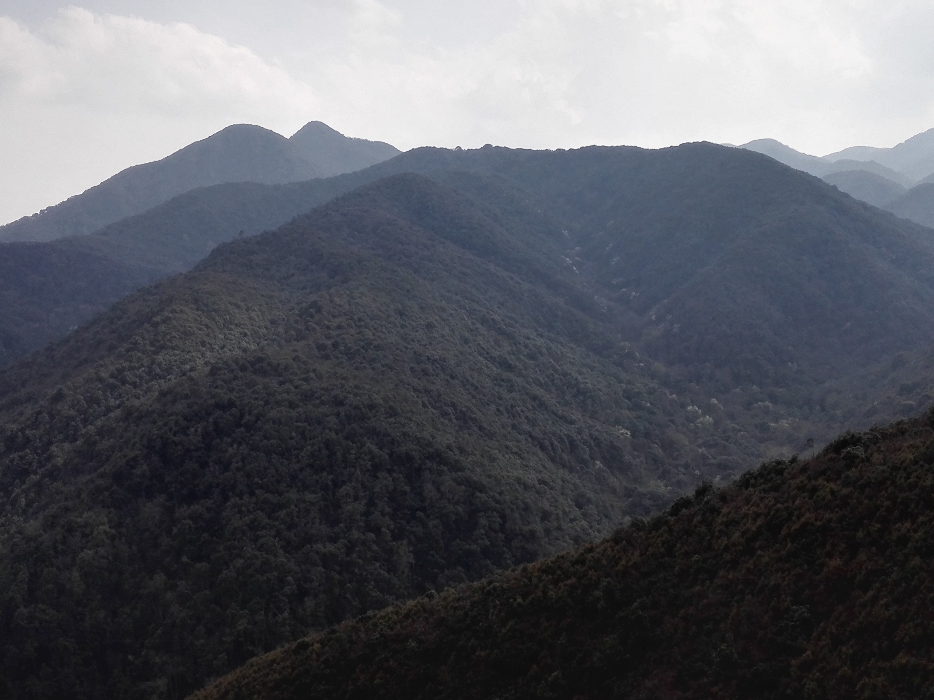 文山国家级自然保护区老君山片区