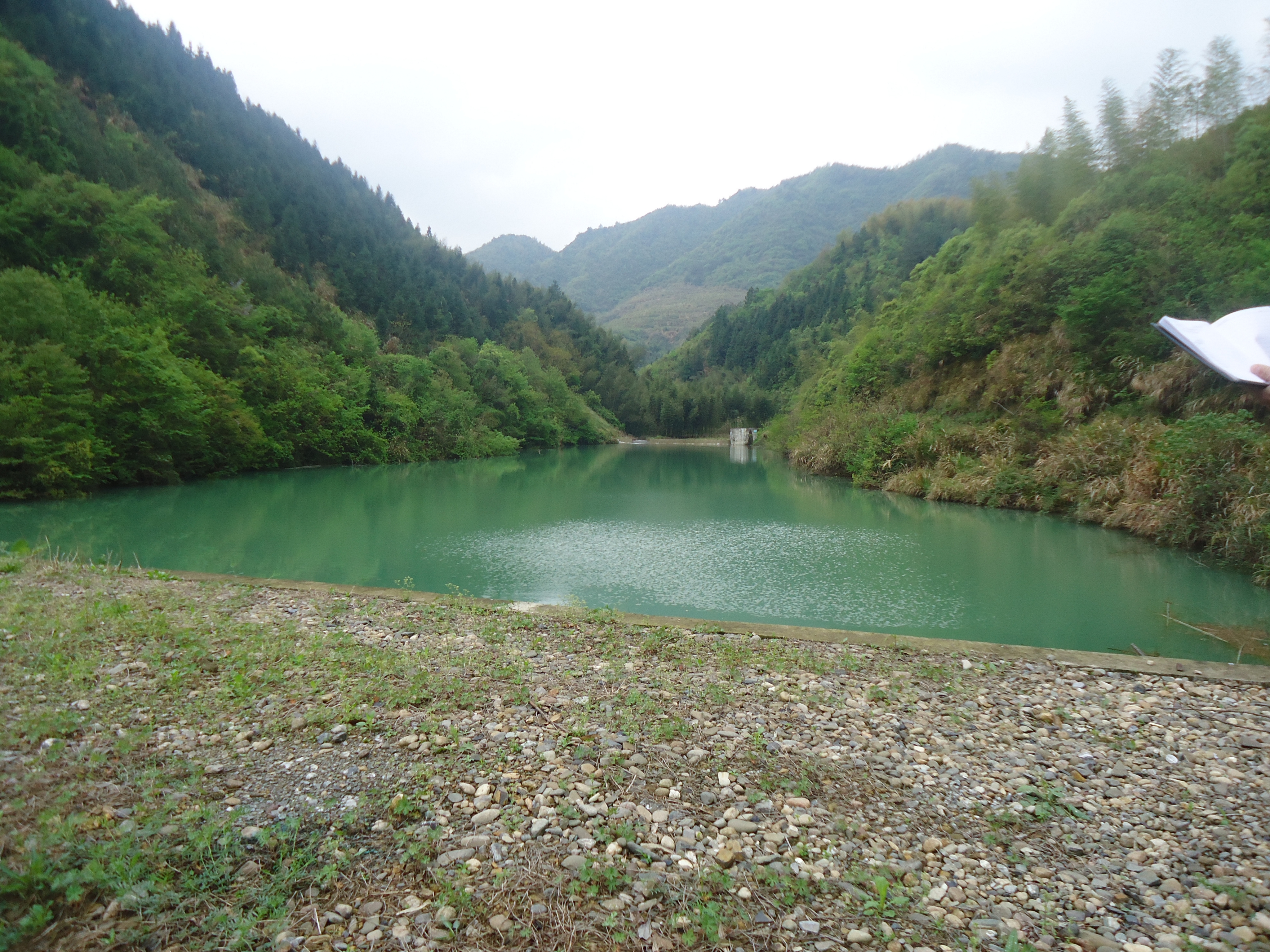 牛塘坞山塘