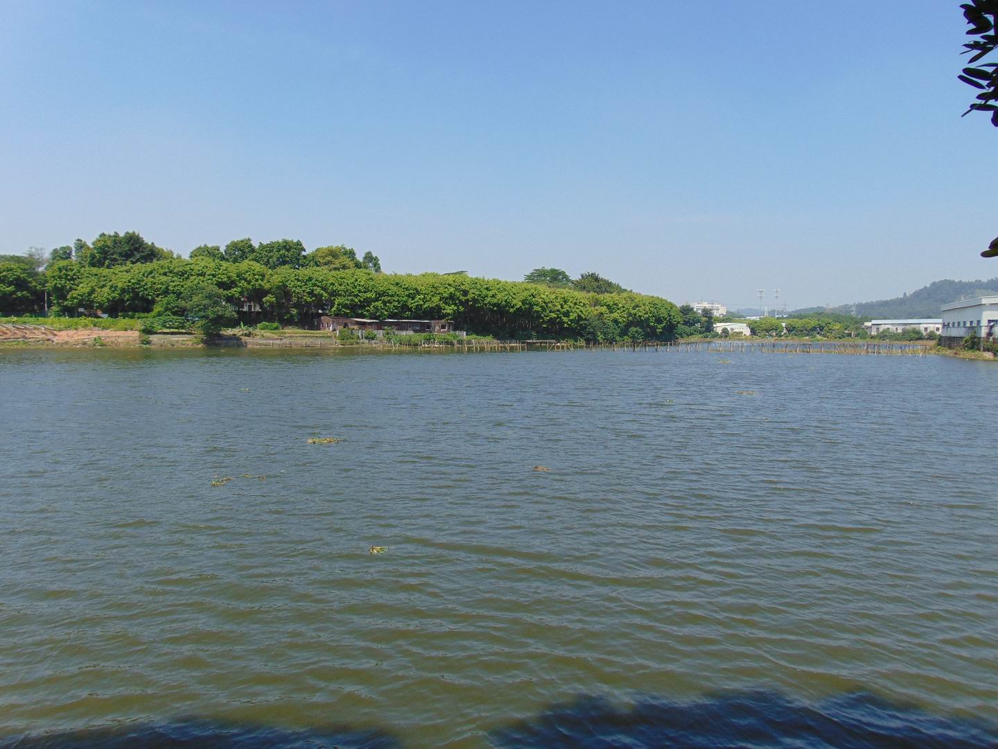沐陂湖