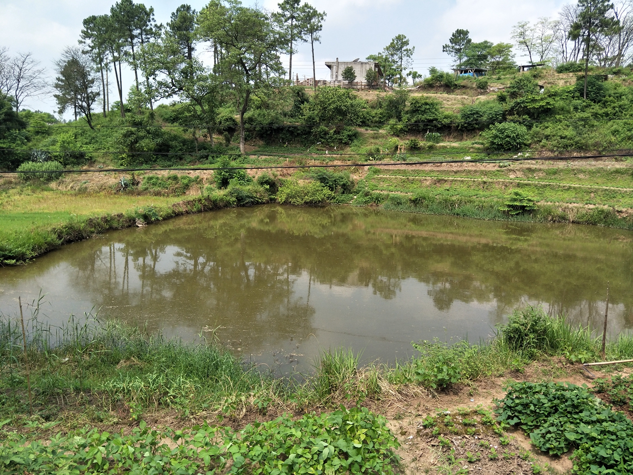 陈岭水库