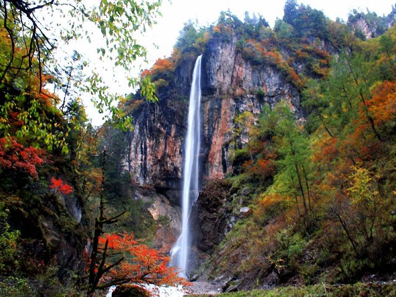 宕昌县大河坝森林公园