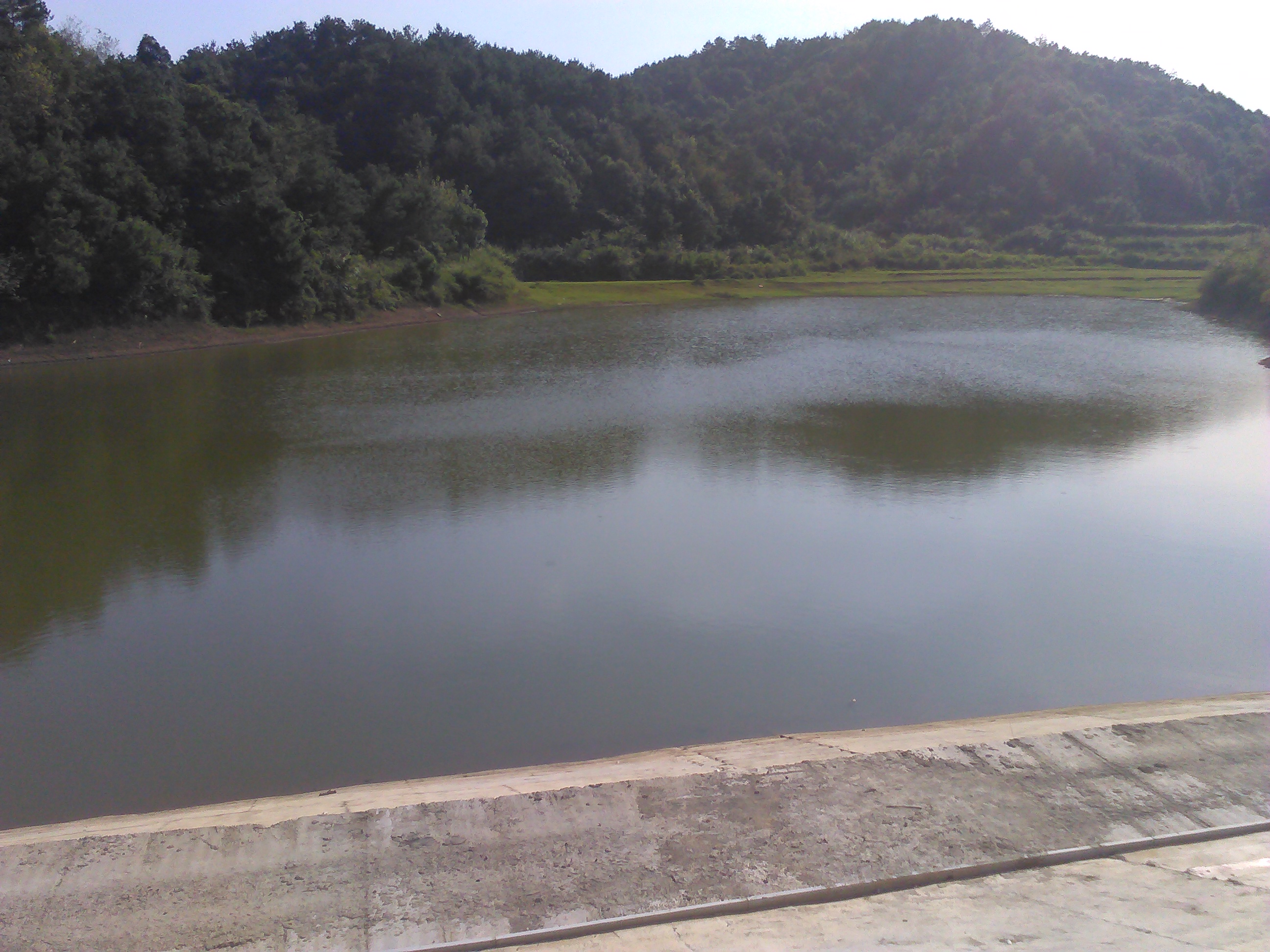 高椅地水库