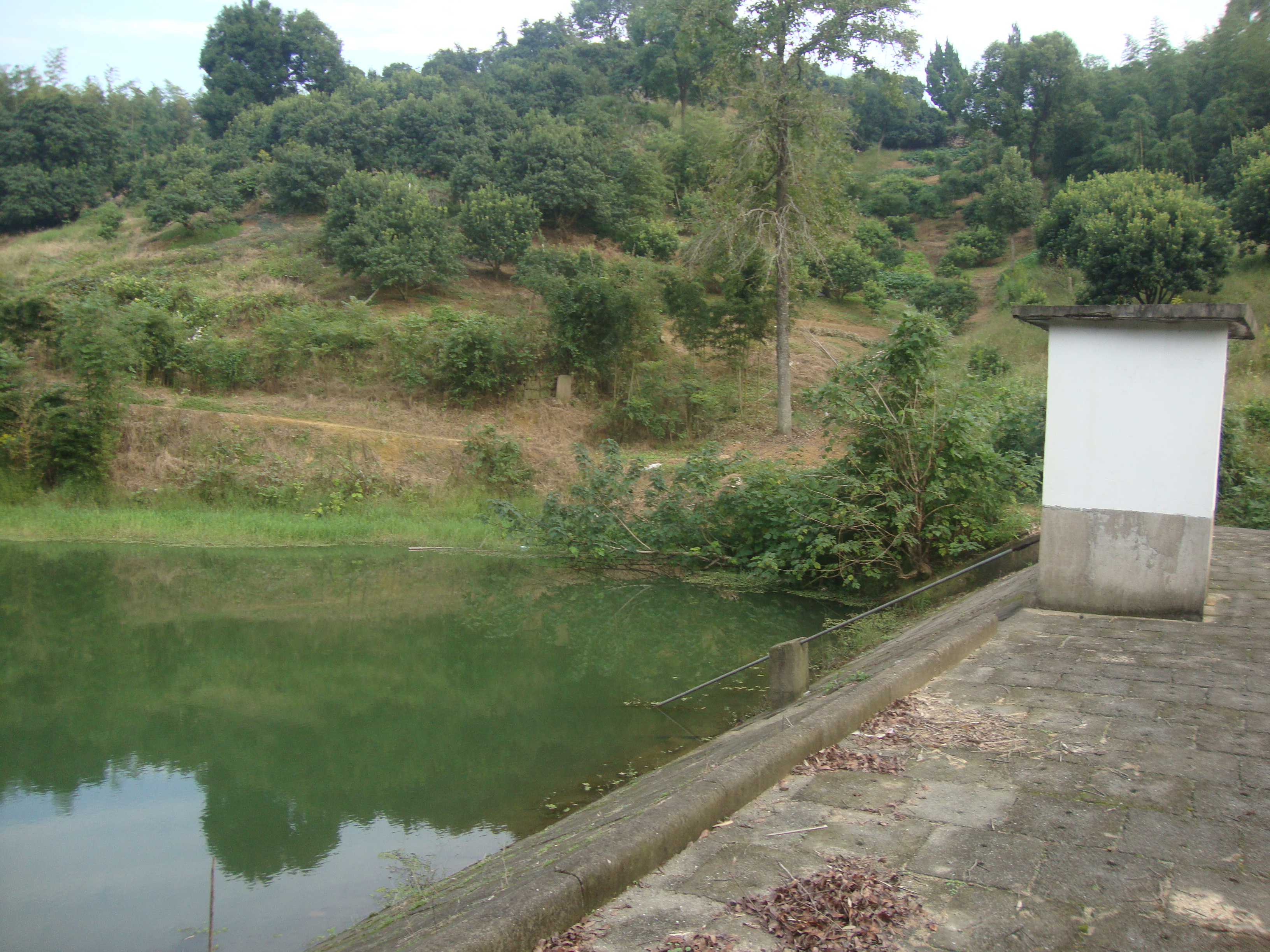 西门屯下水库