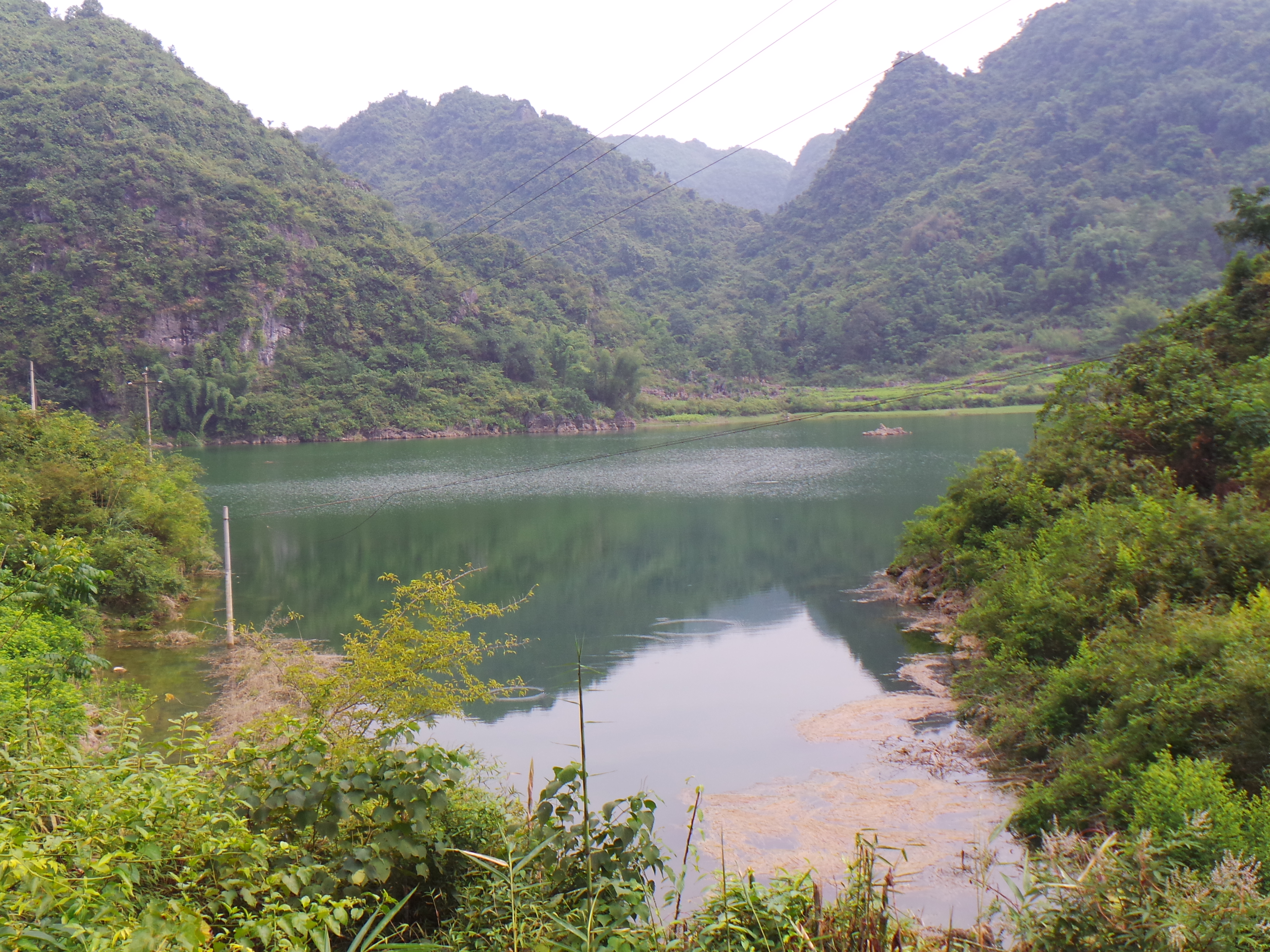 鲤鱼洞水库