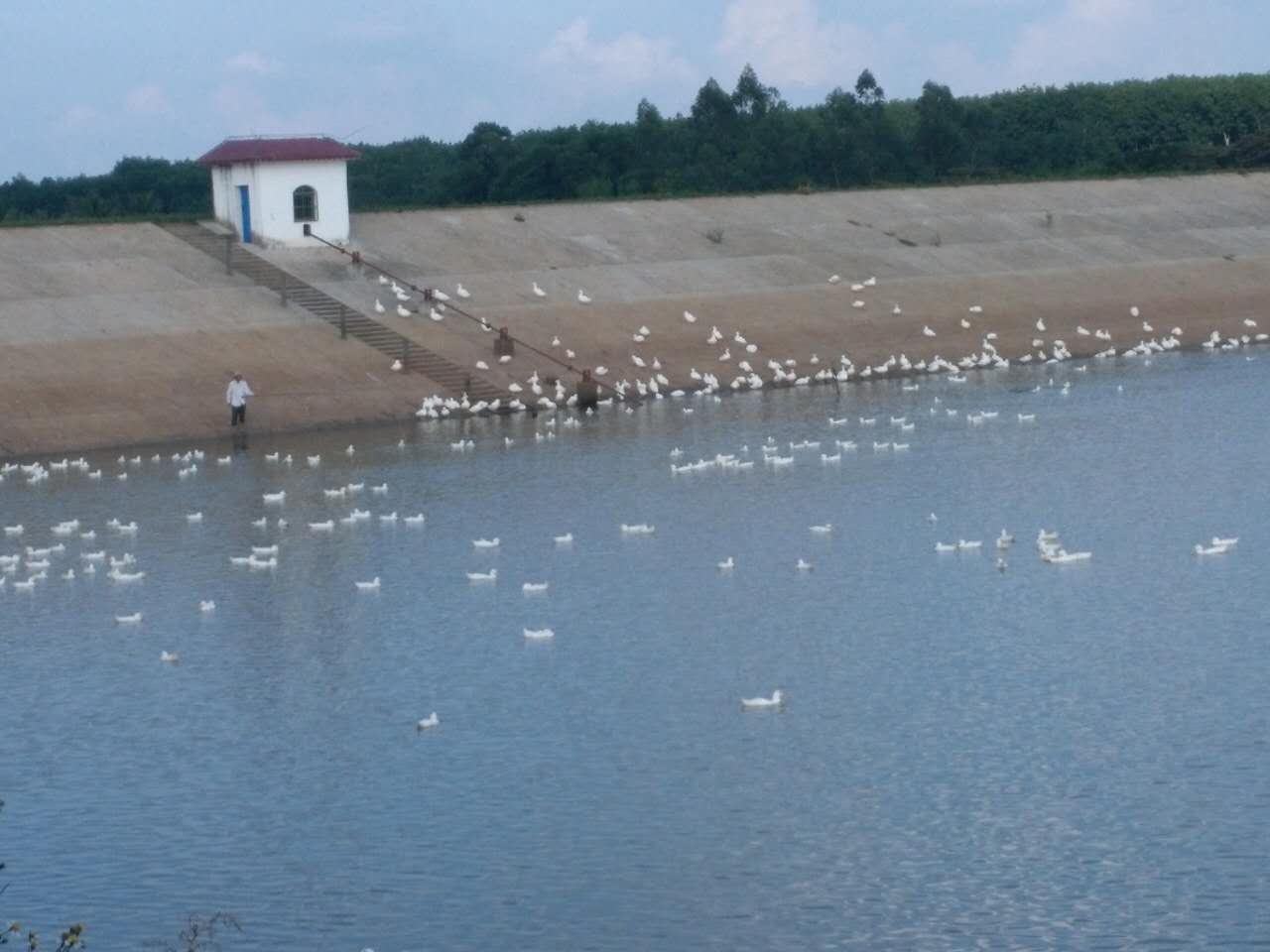 仙人洞水库