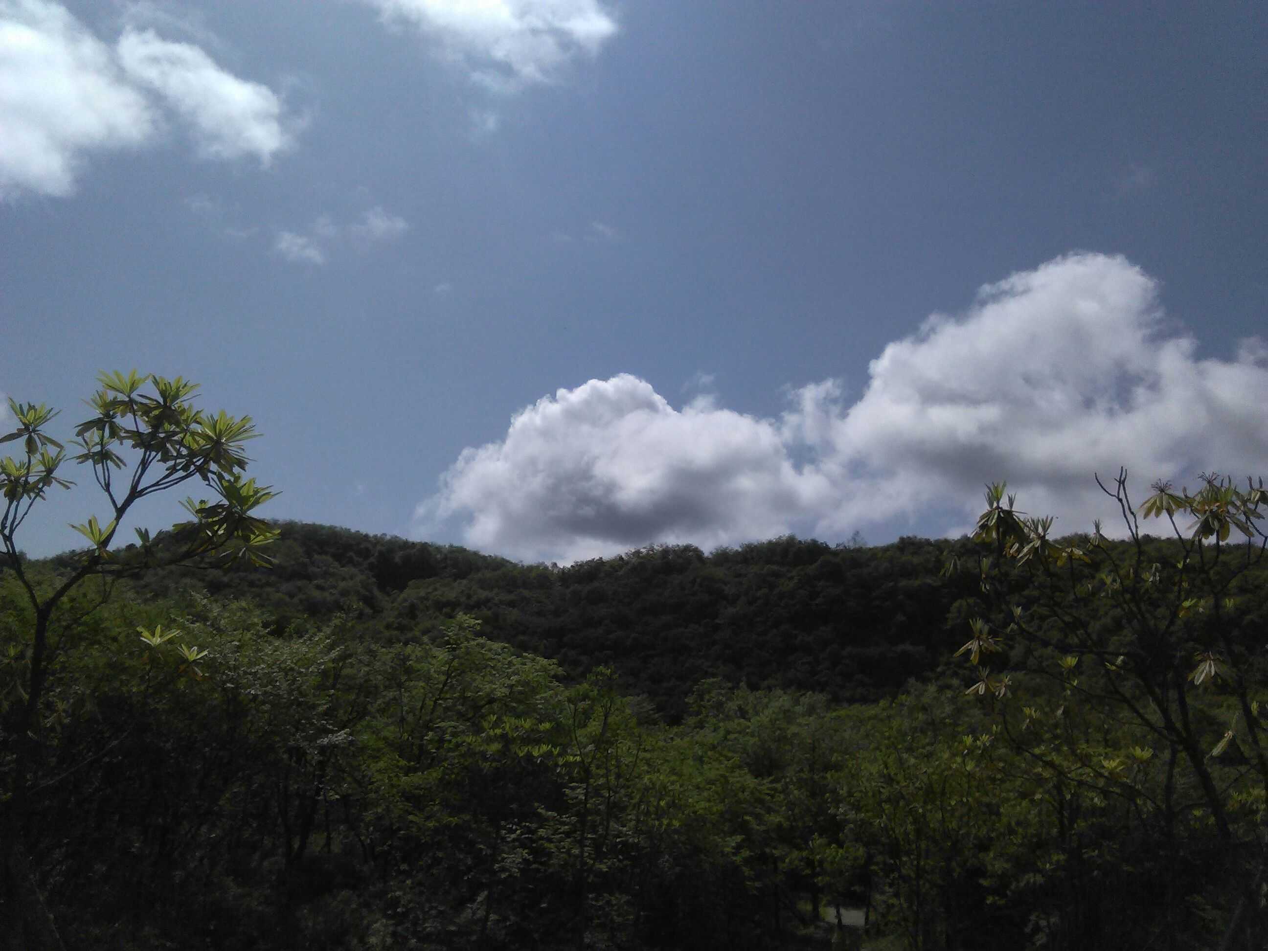 鸳鸯池