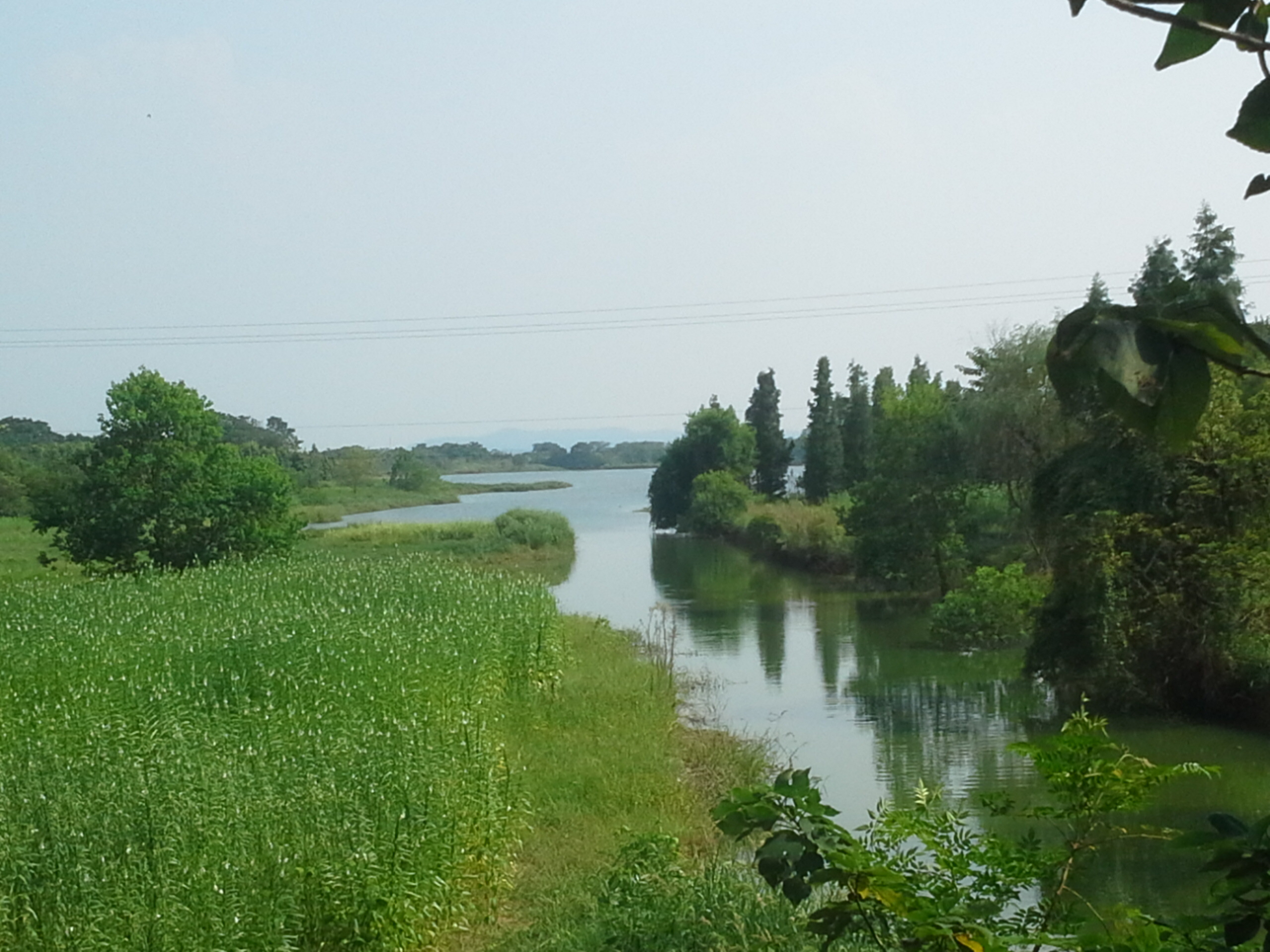 张家沟