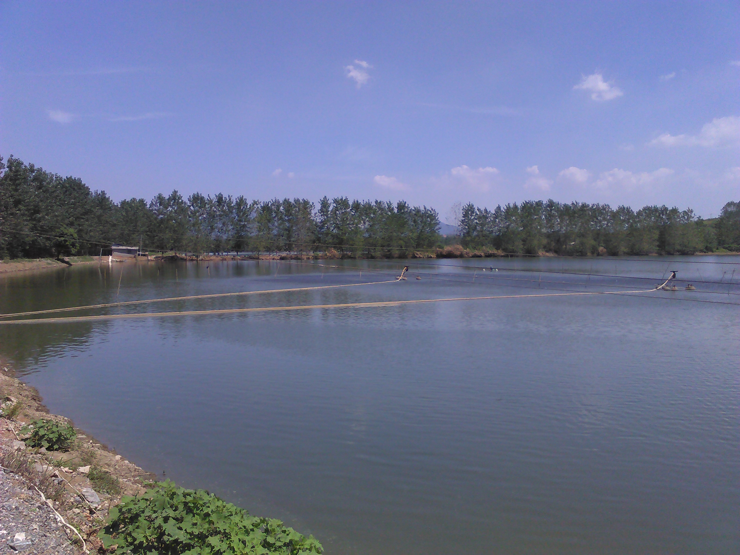 米铺湖
