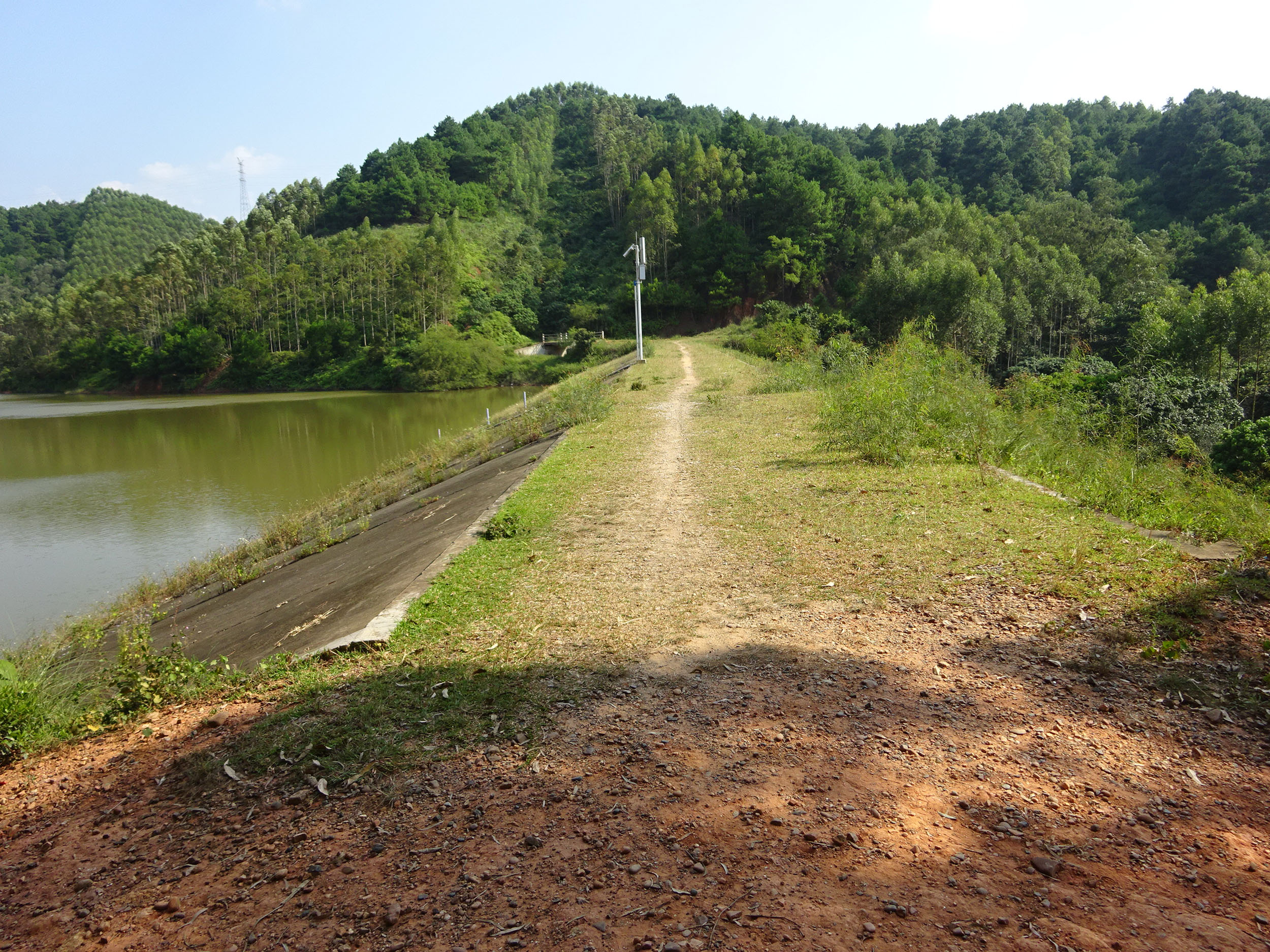 茶油水库