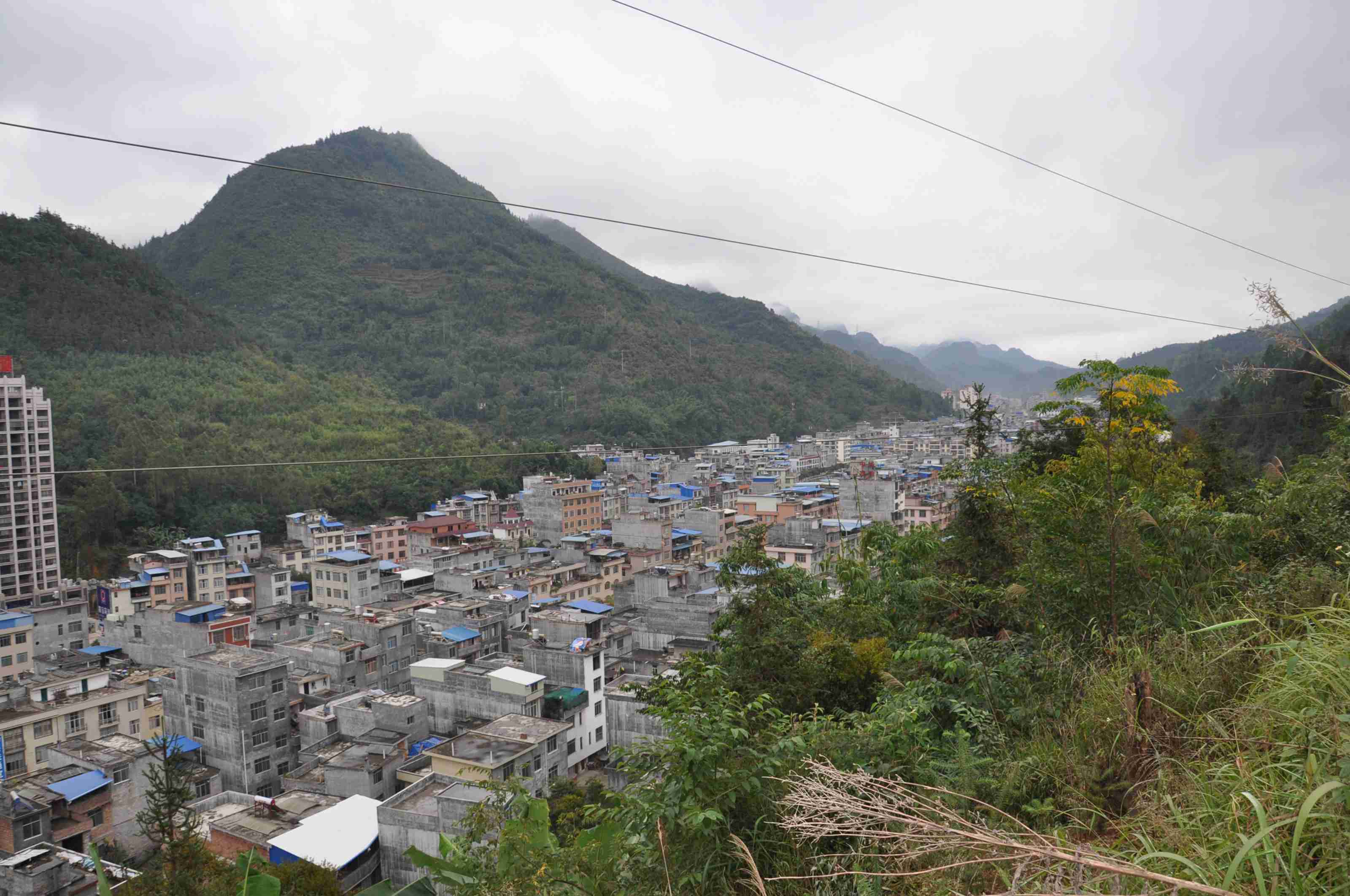 那坡县