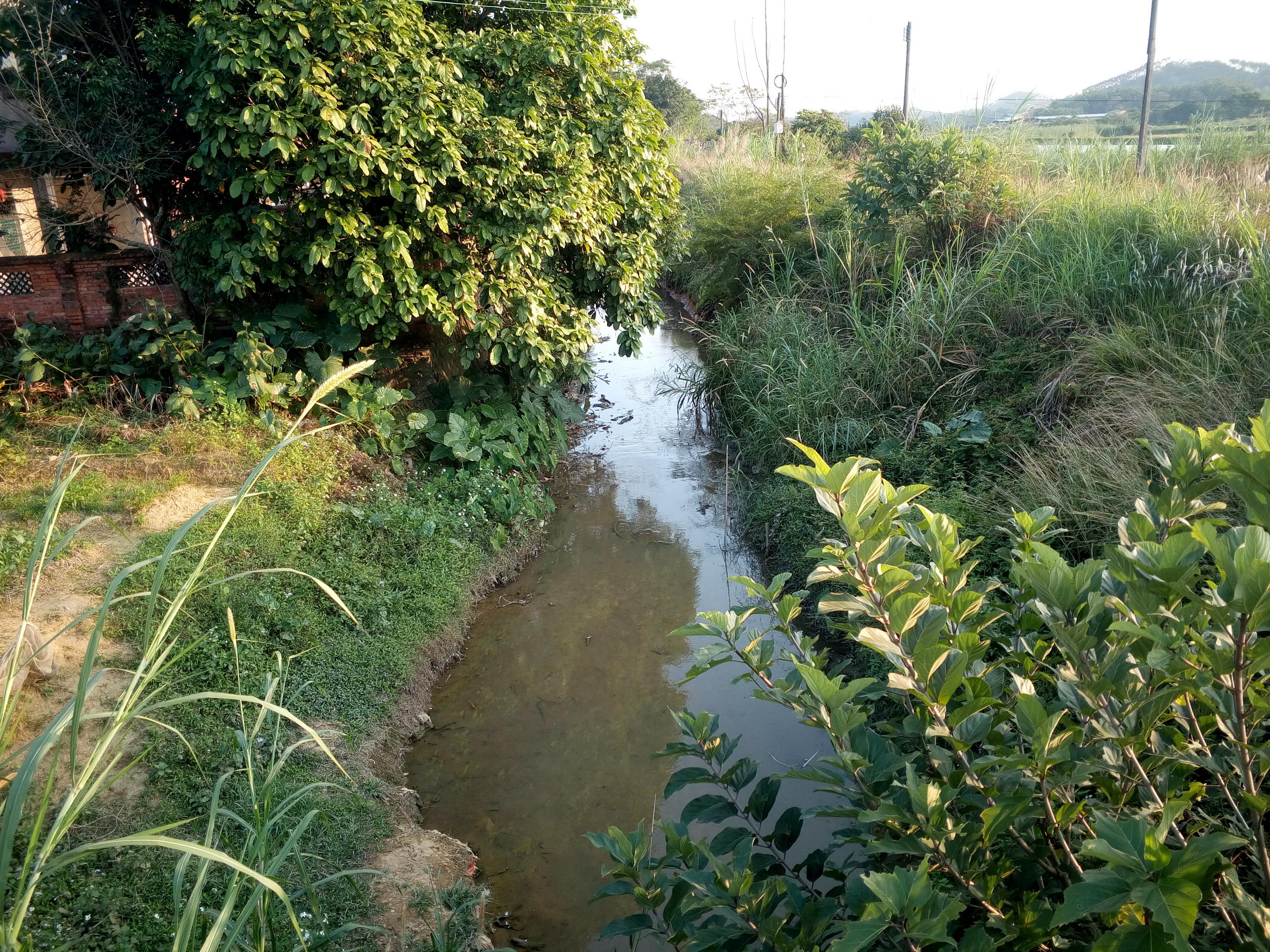 龙带水