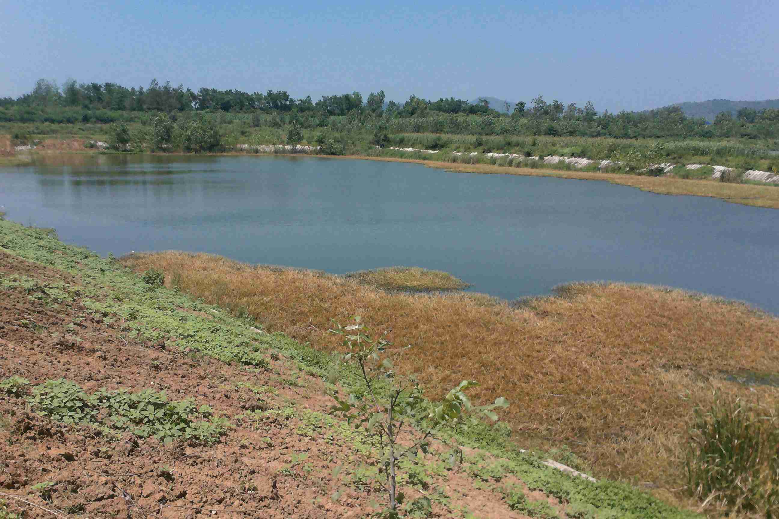 王家湾水库