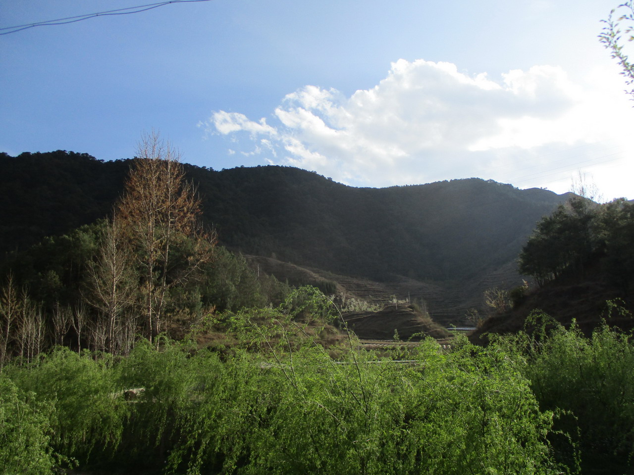 会泽待补鸡鸣山县级自然保护区