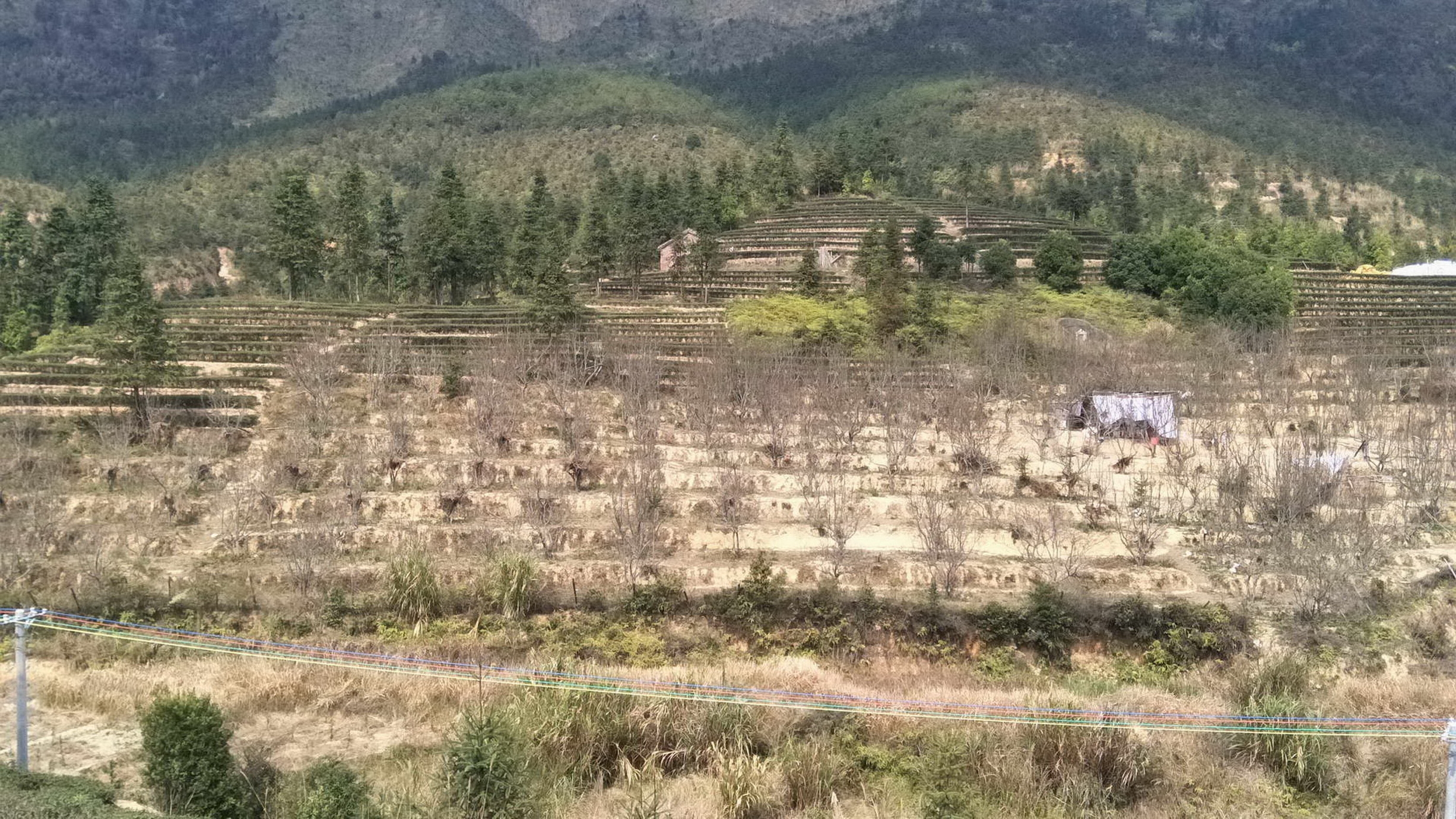 燕仙岩风景区