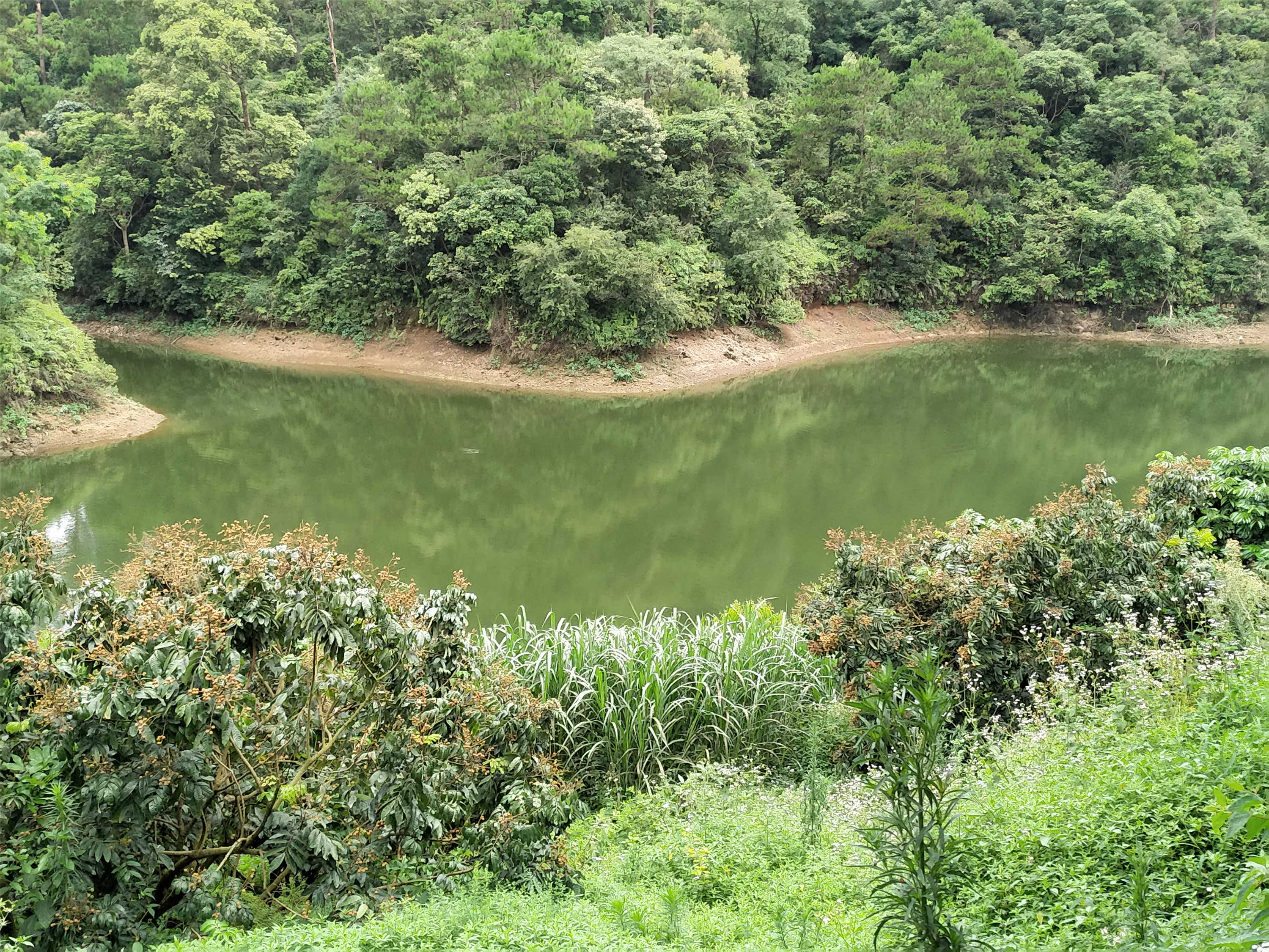 河塘水库