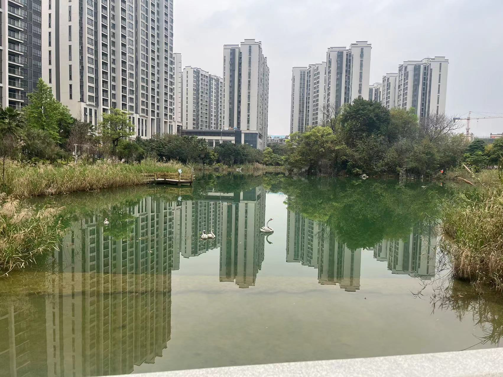 驾鹤街道