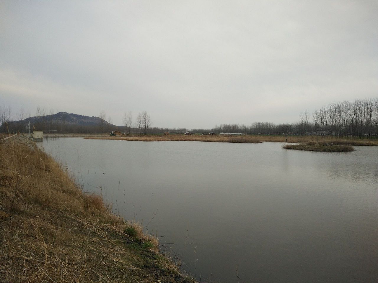 茅草埝水库