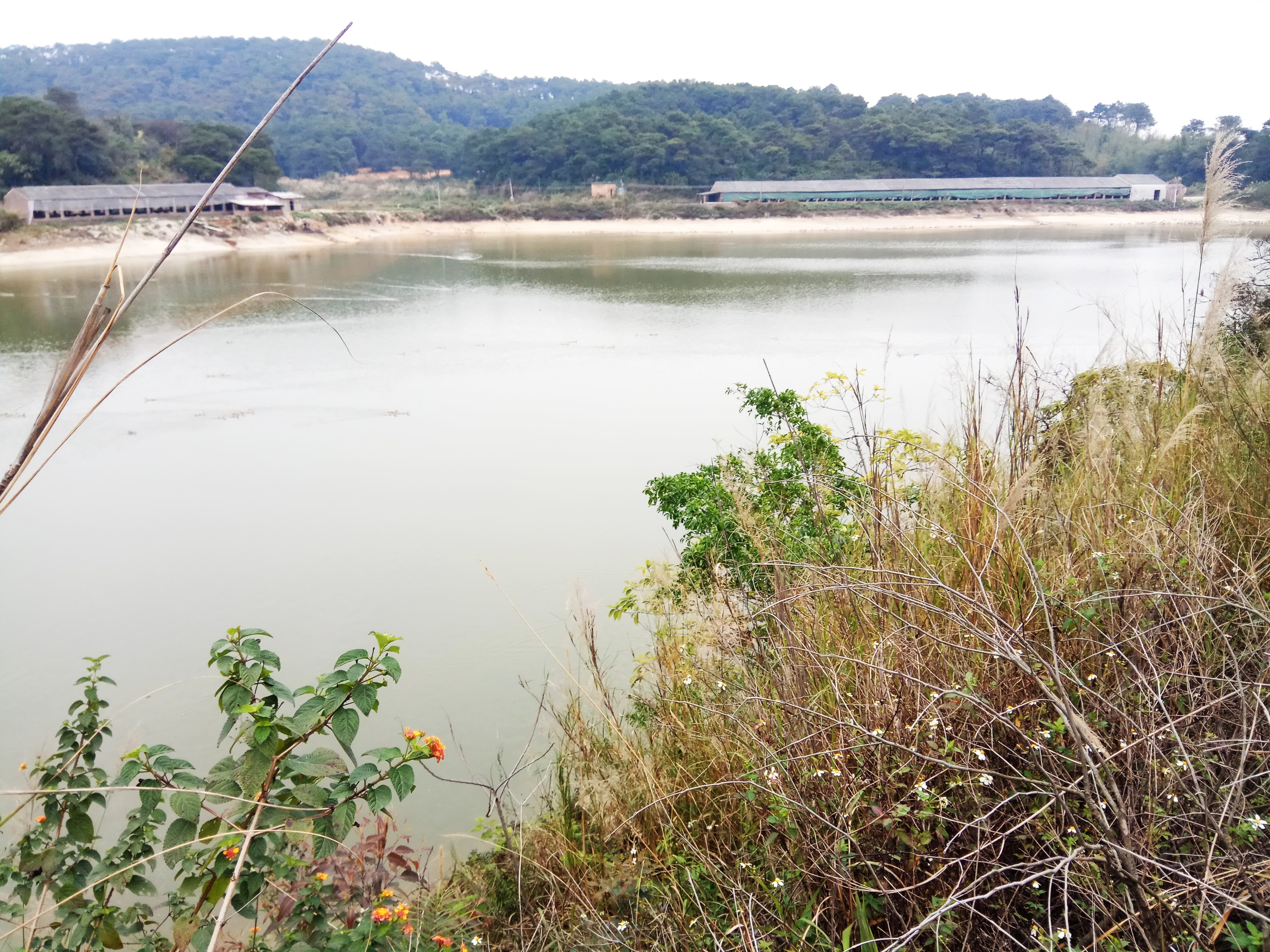 小津口水库