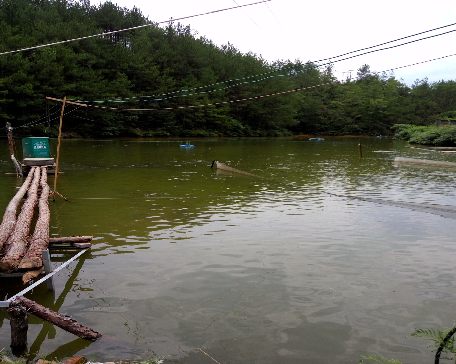 杏树湾水库