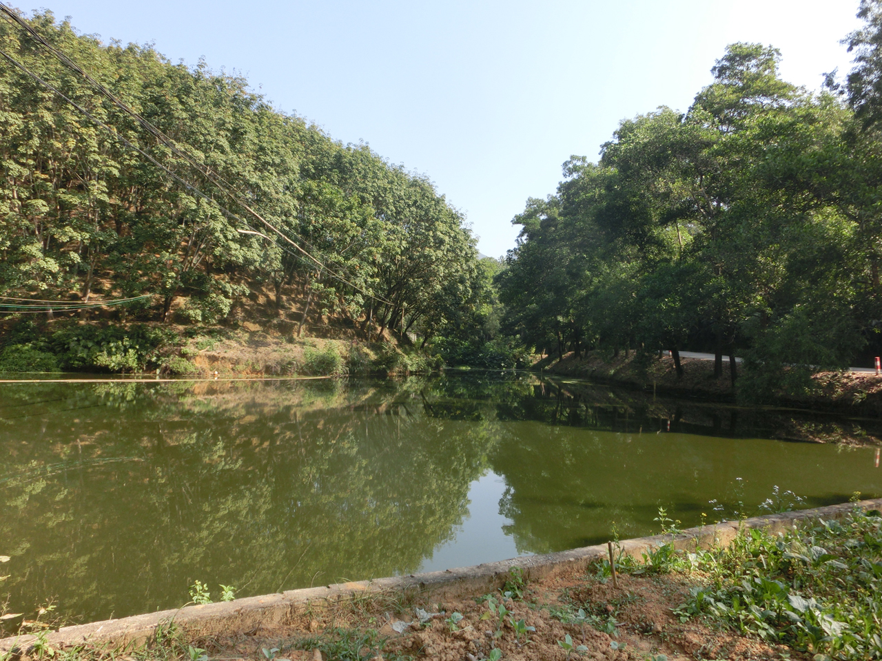 三圩水库