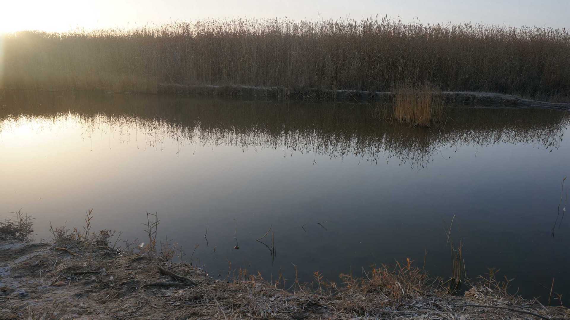 阿提阔依迪芦苇湖