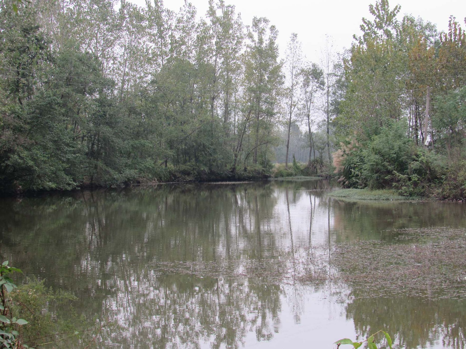 中王堰水库