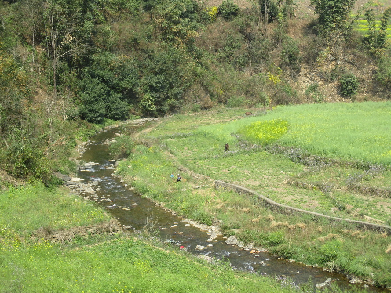 高良河小高良河湾