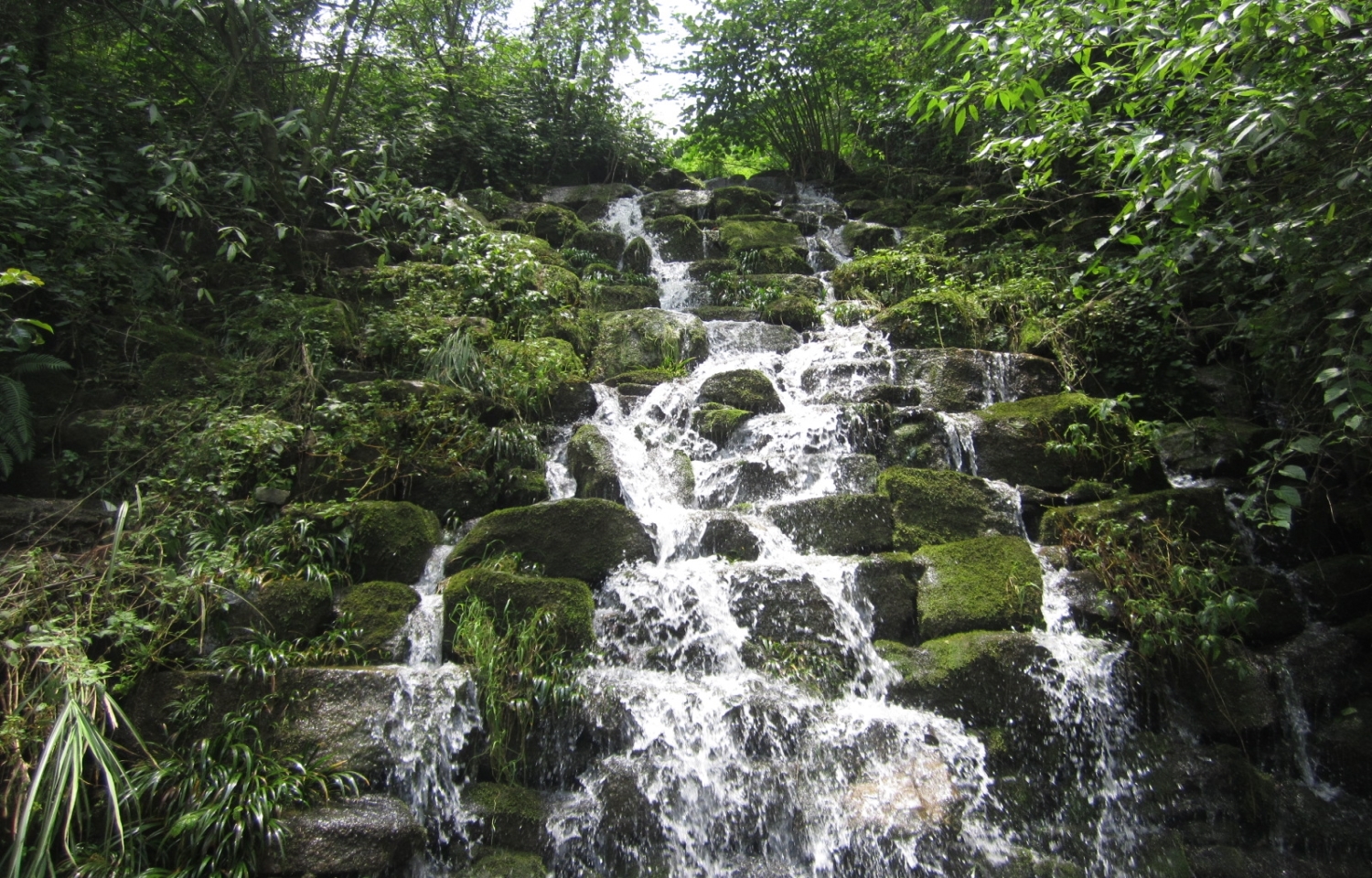 田坝河沟泉水