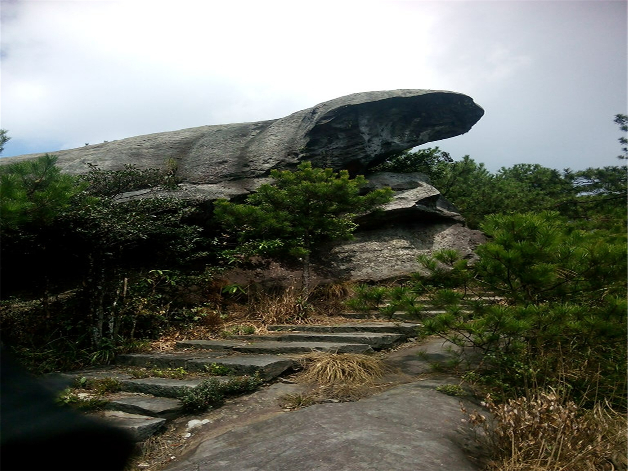 海狮恋宝